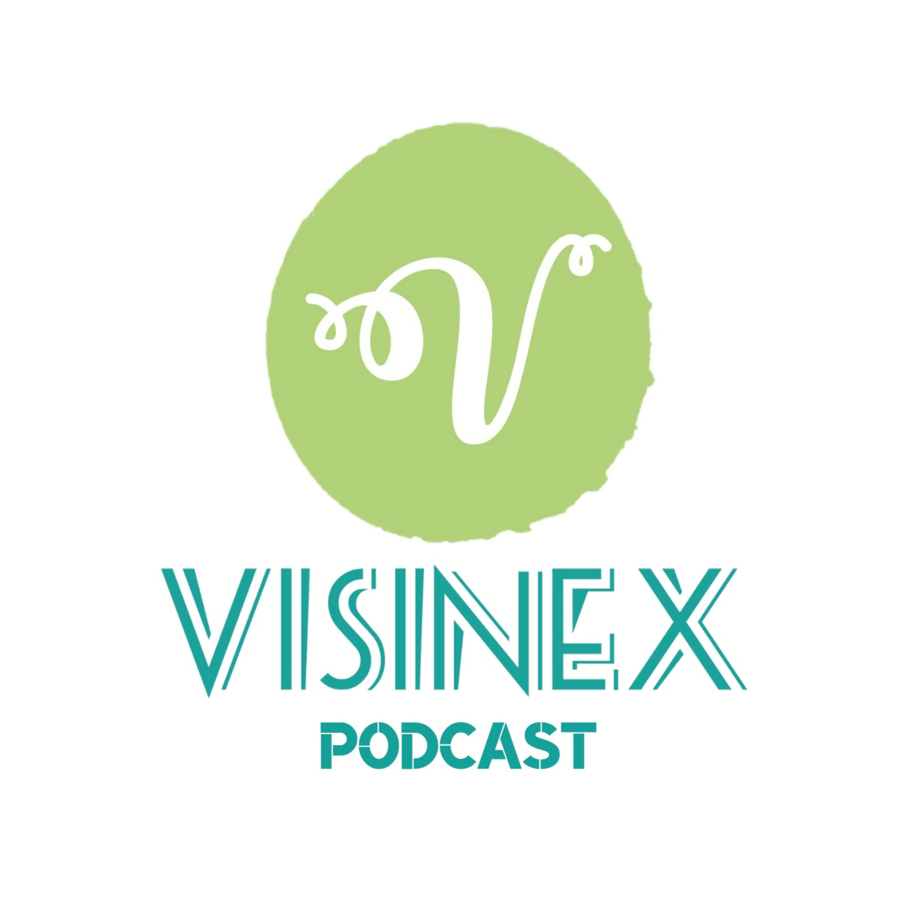 VISINEX