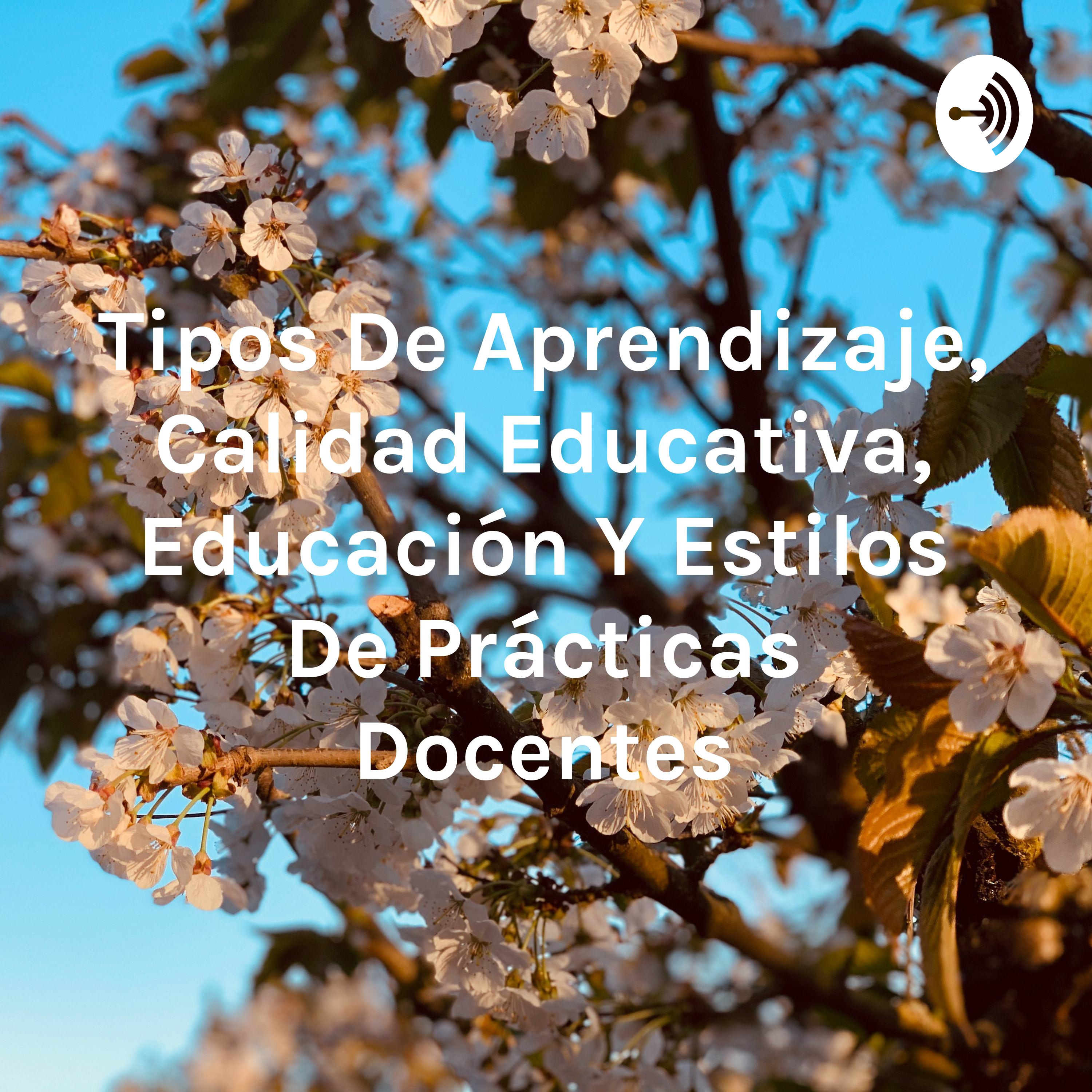 Tipos De Aprendizaje, Calidad Educativa, Educación Y Estilos De Prácticas Docentes
