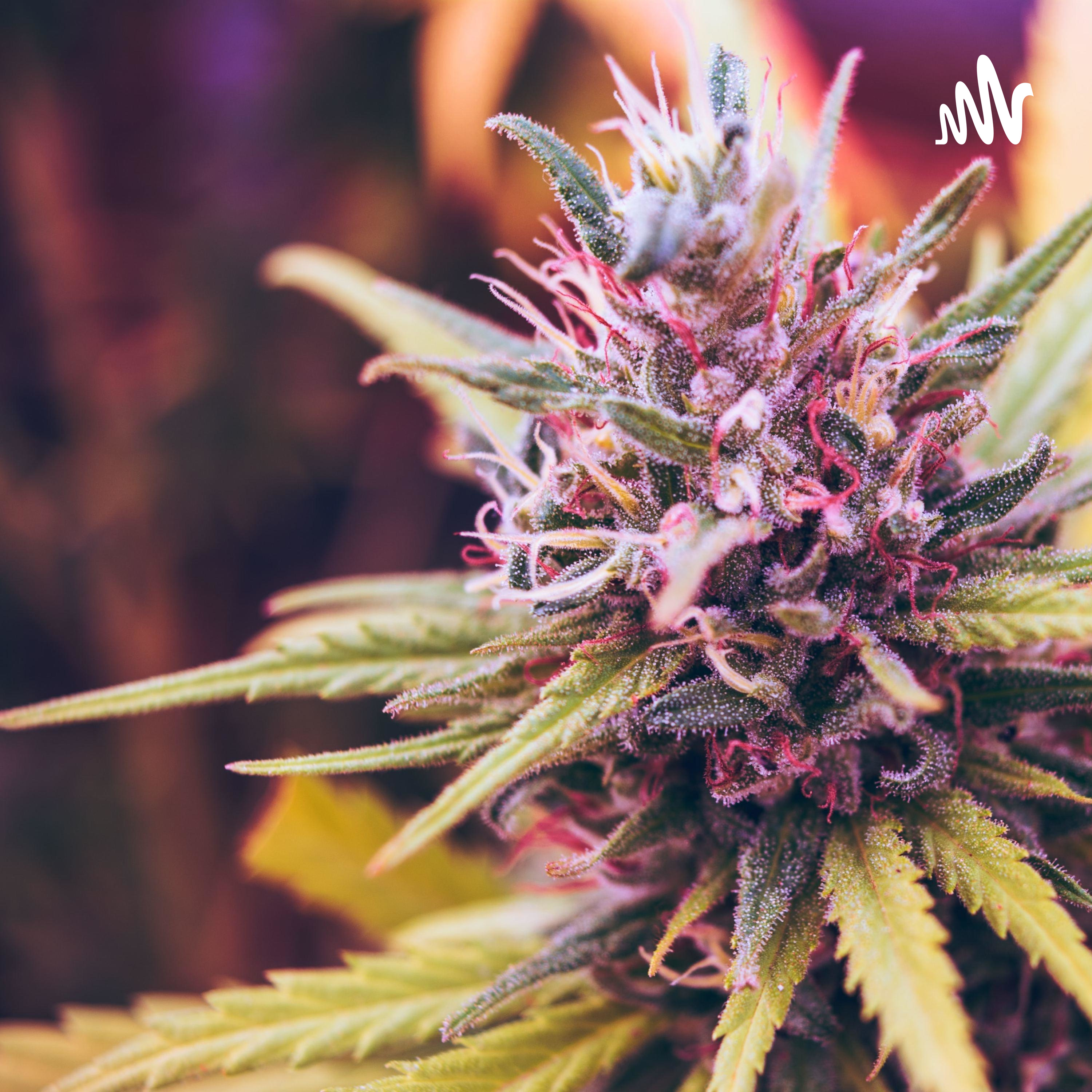 High Crimes and Conspiracies cover art