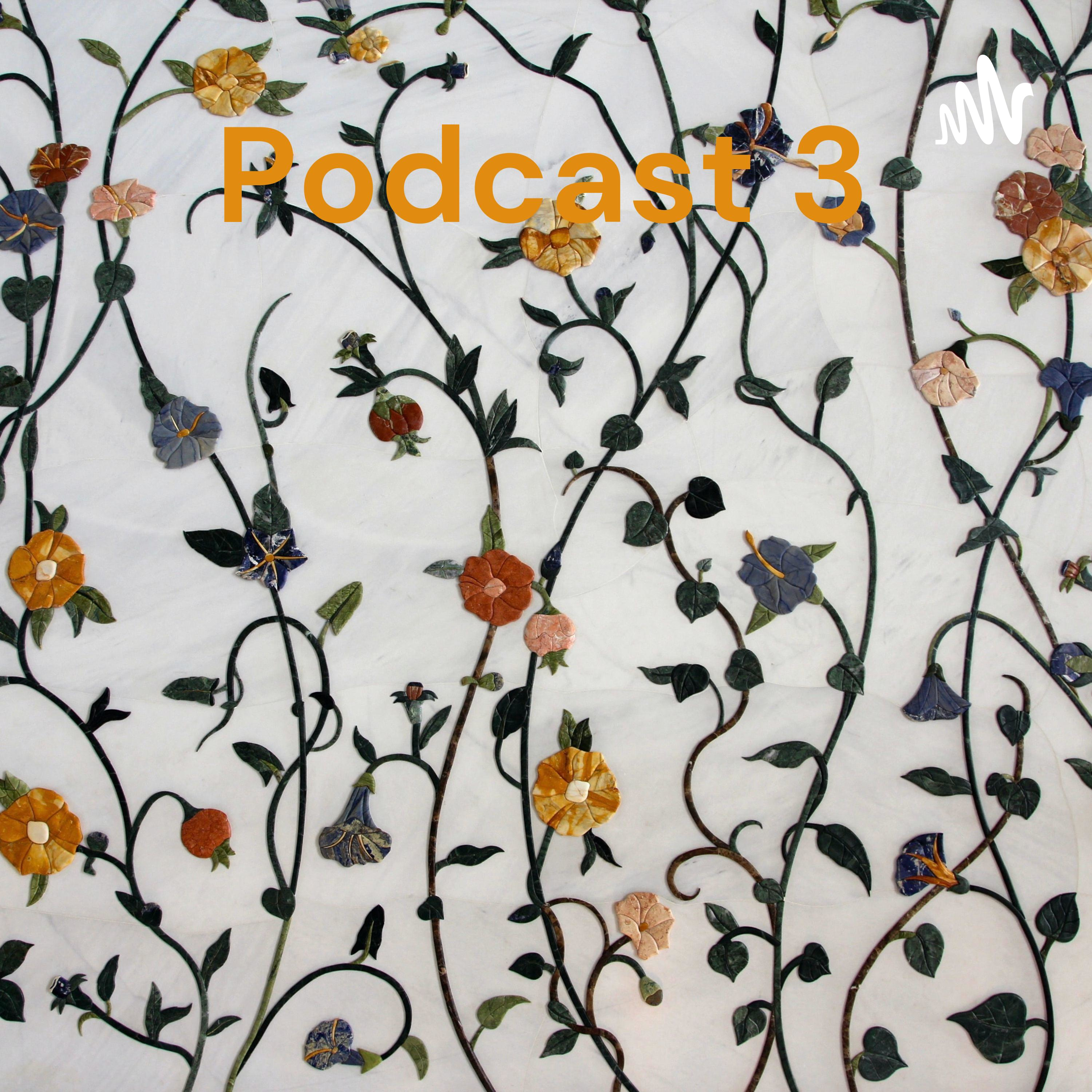 Podcast 3 - Teachers as Educators