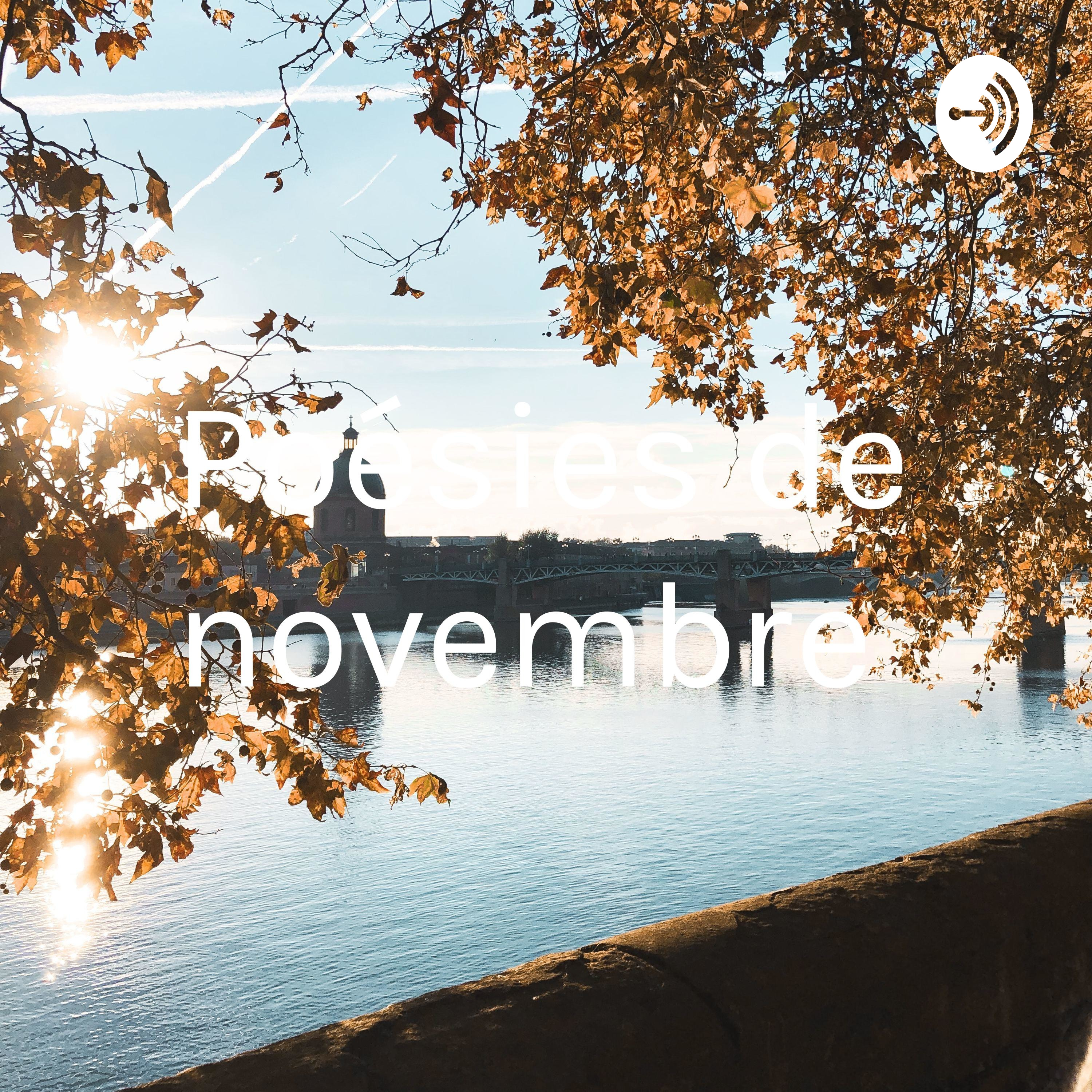 Illustration du podcast Poésies de novembre