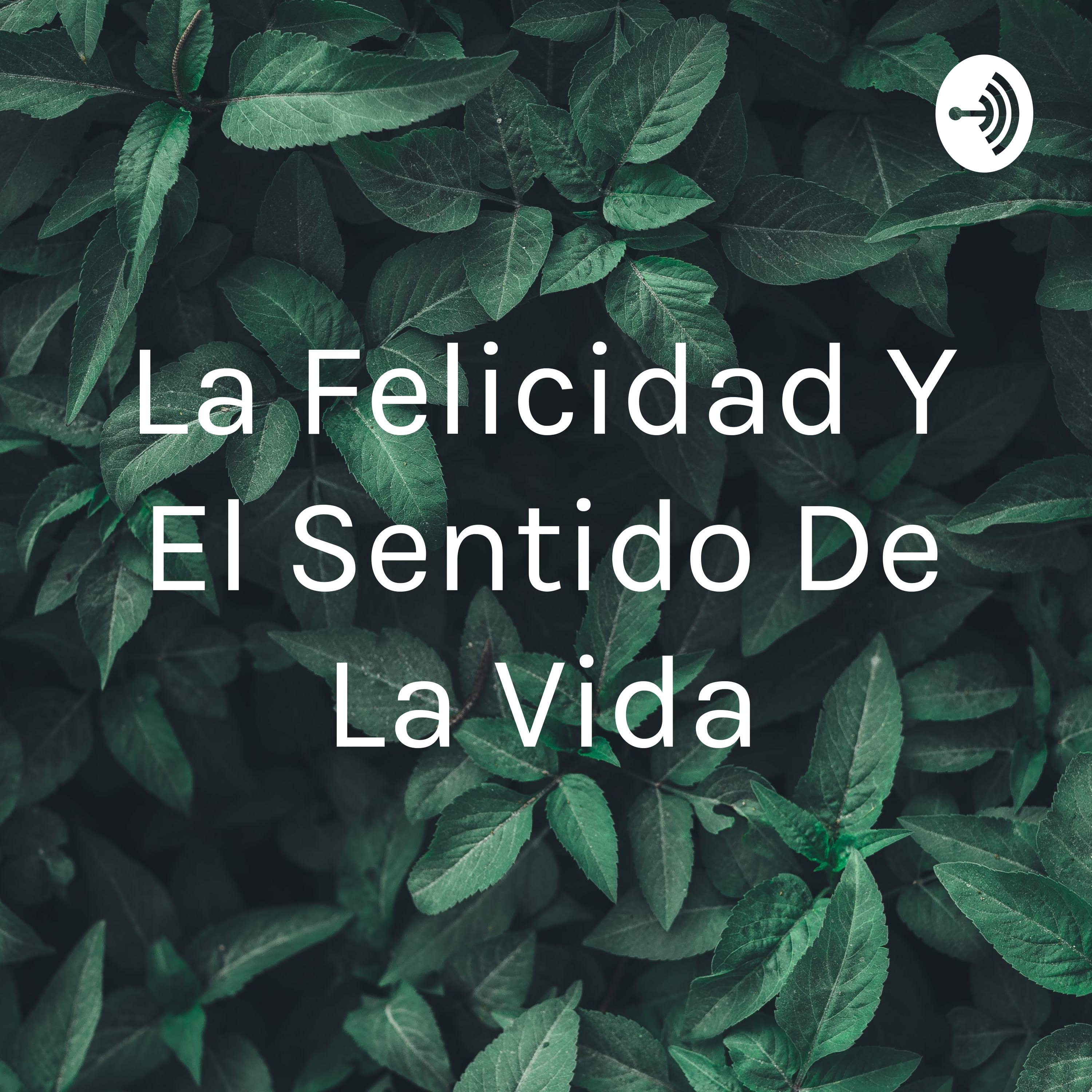La Felicidad Y El Sentido De La Vida