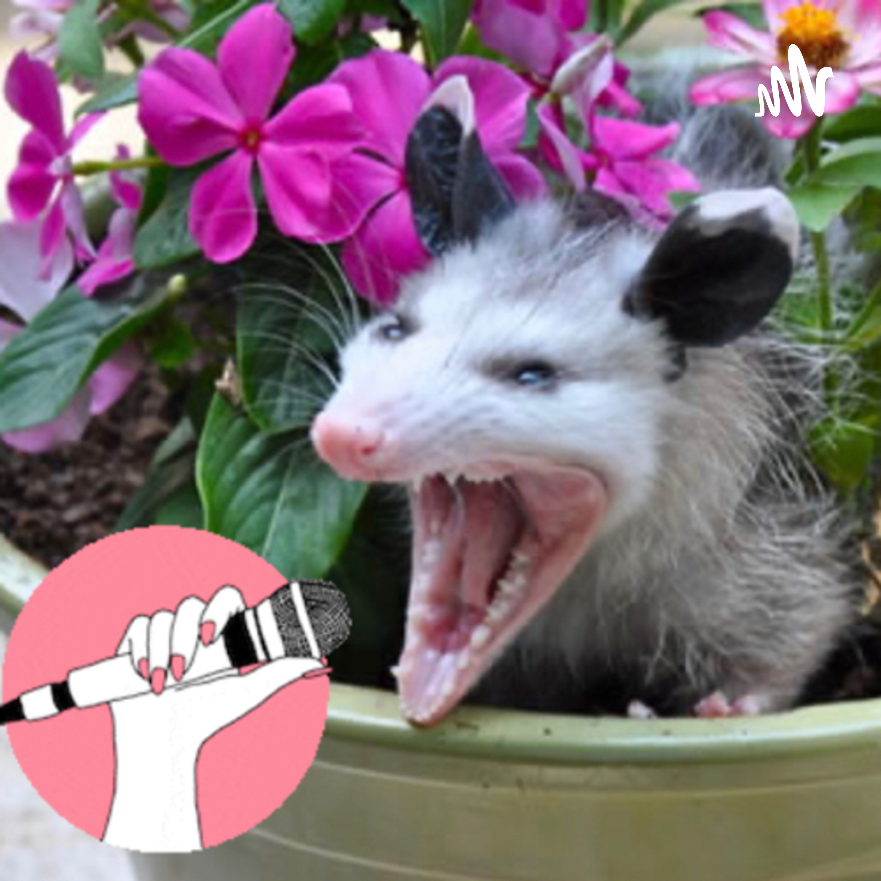 Las tlacuachas informativas 