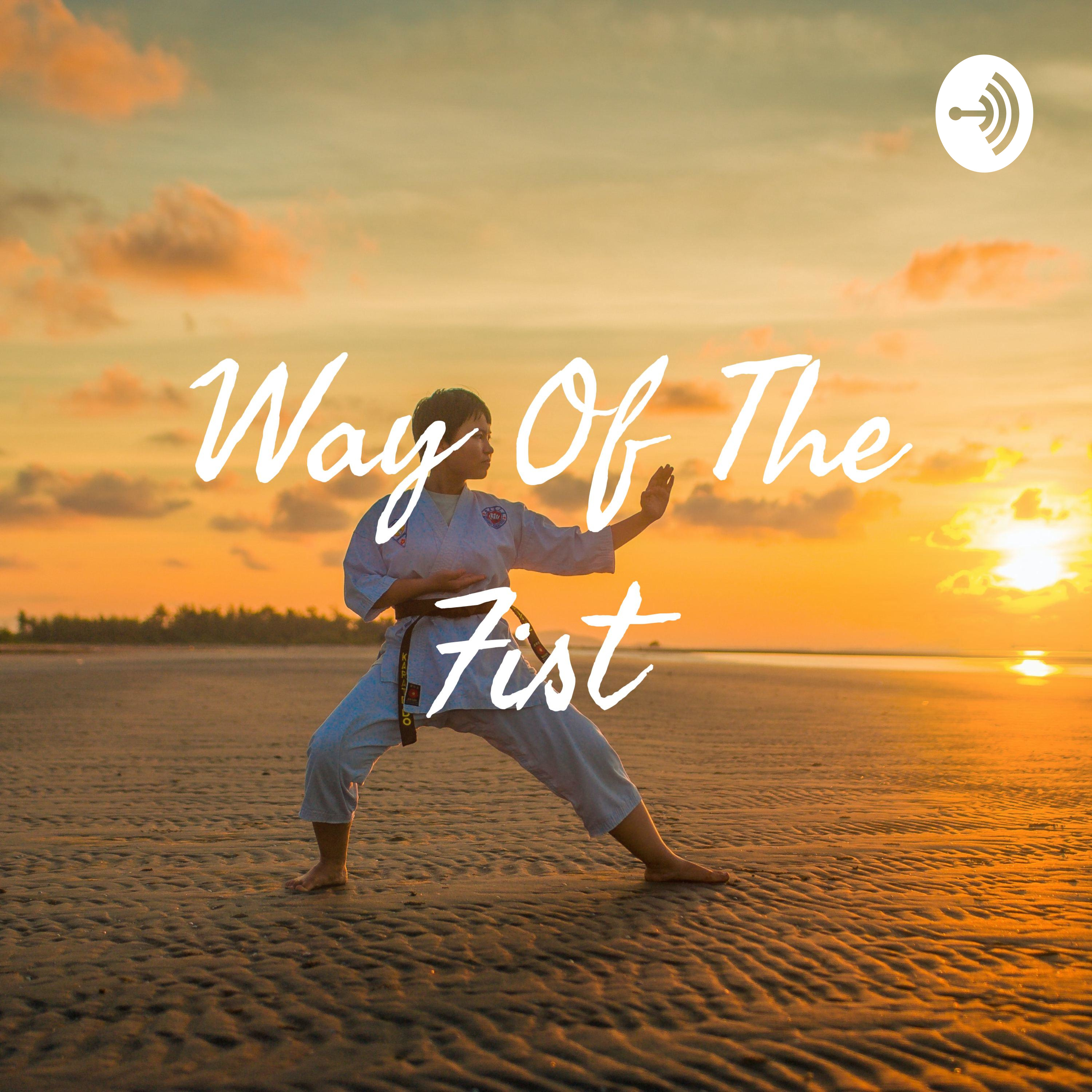 Way Of The Fist
