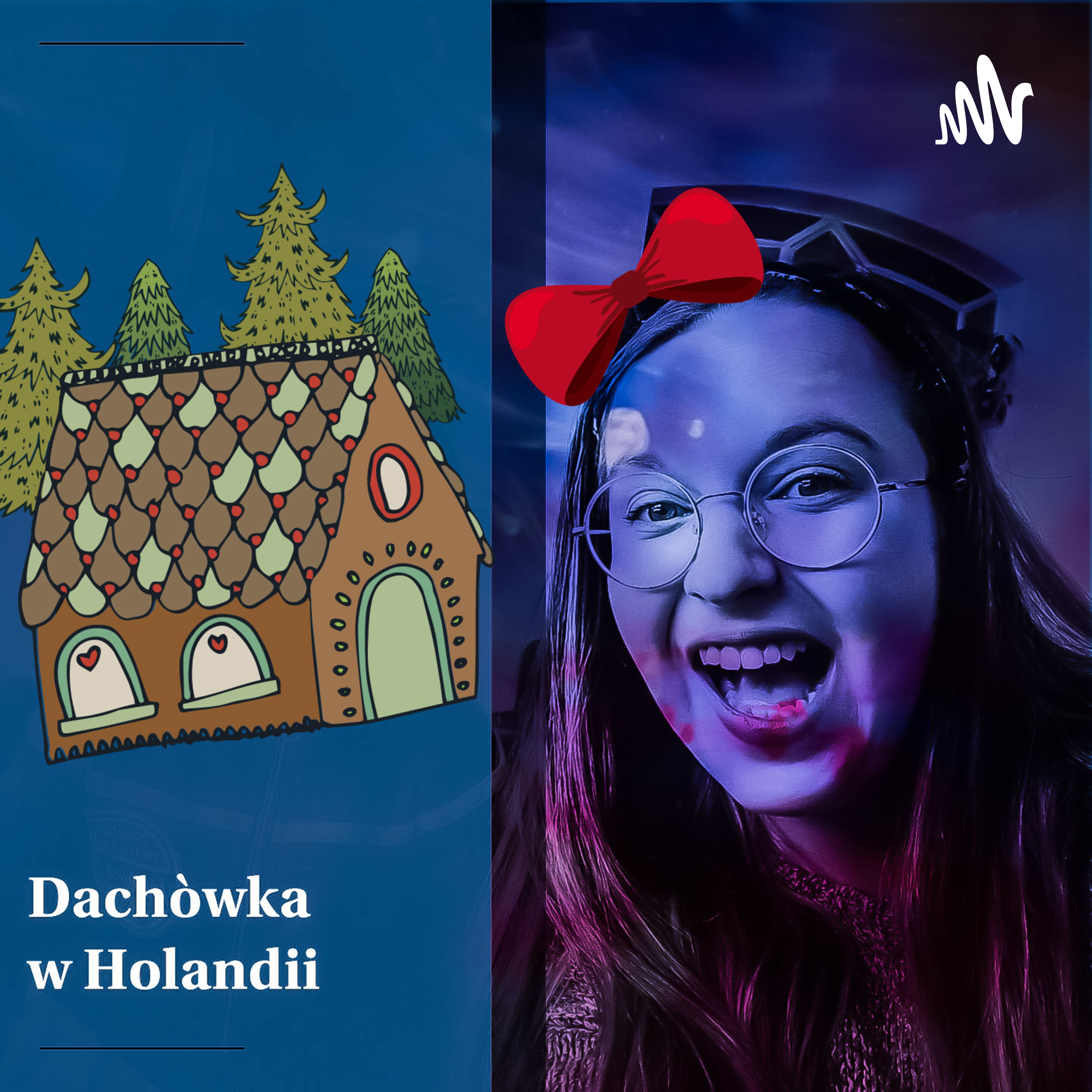  Dachówka w Holandii