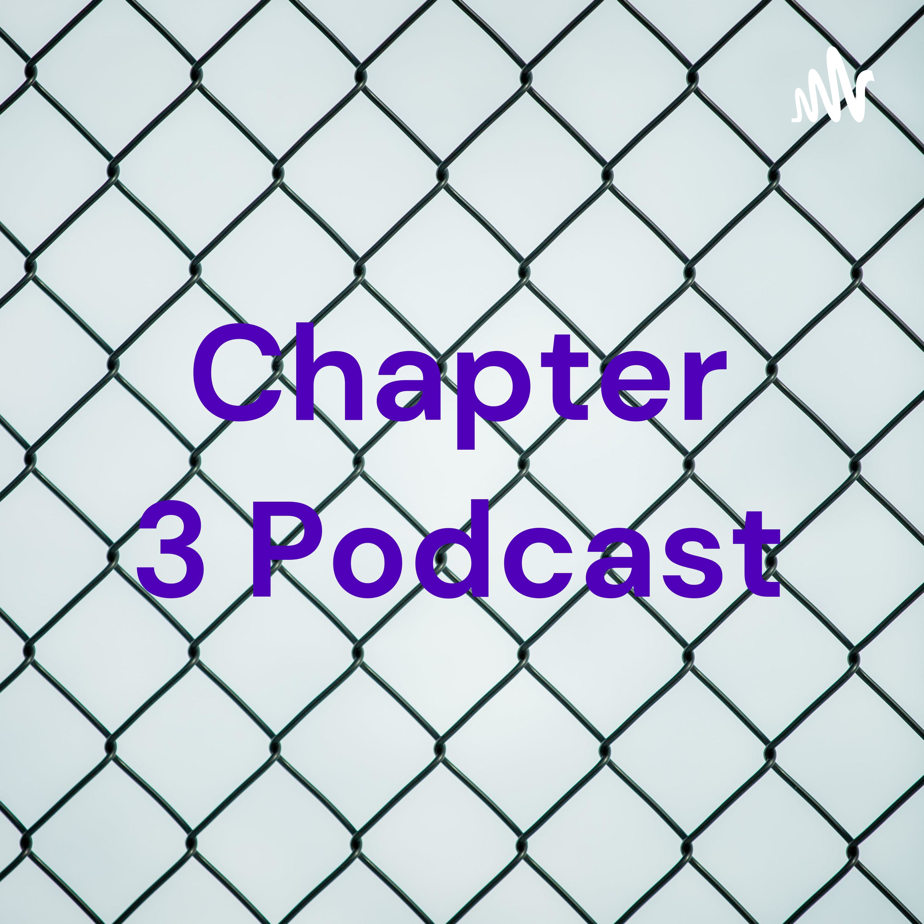 Chapter 3 Podcast