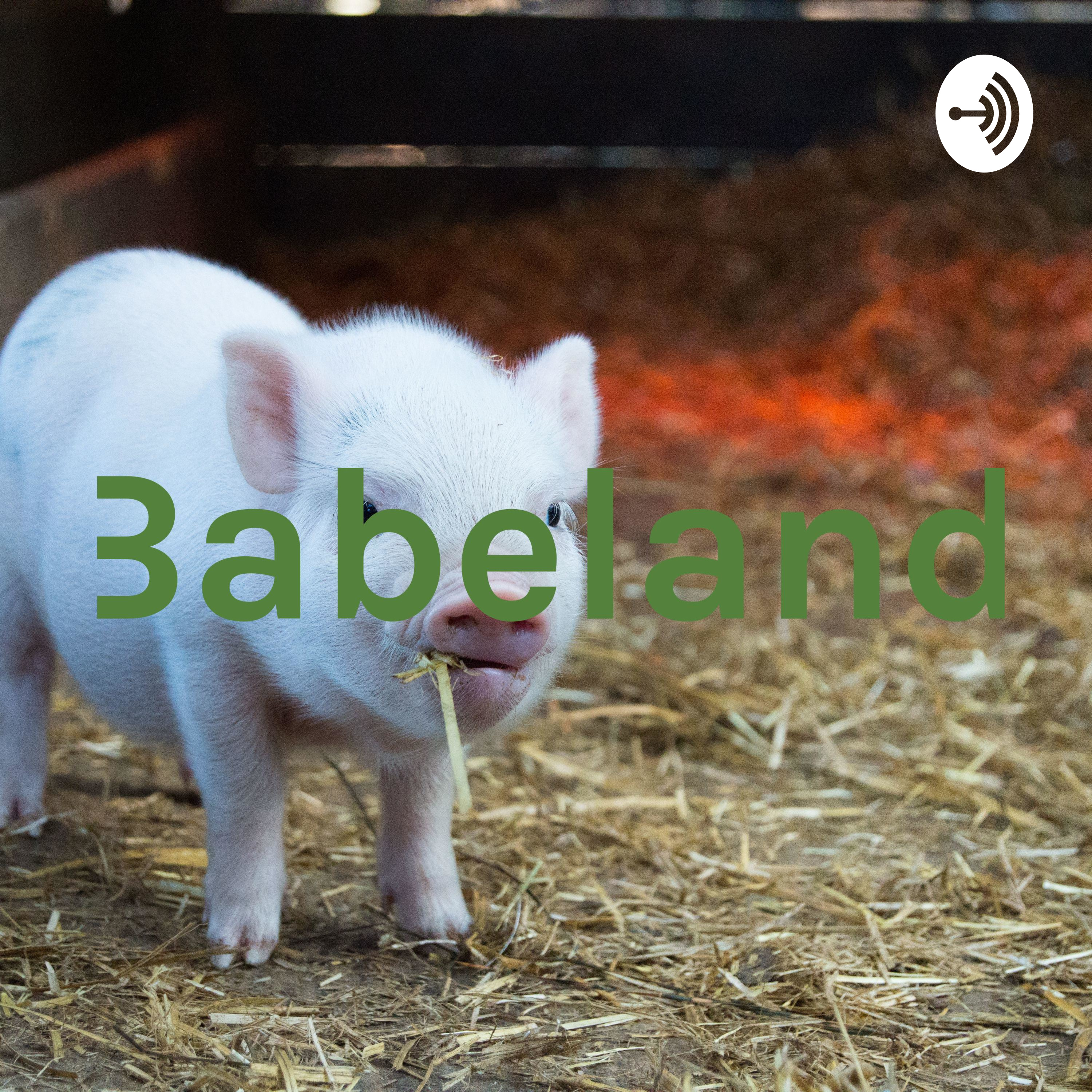 Babeland