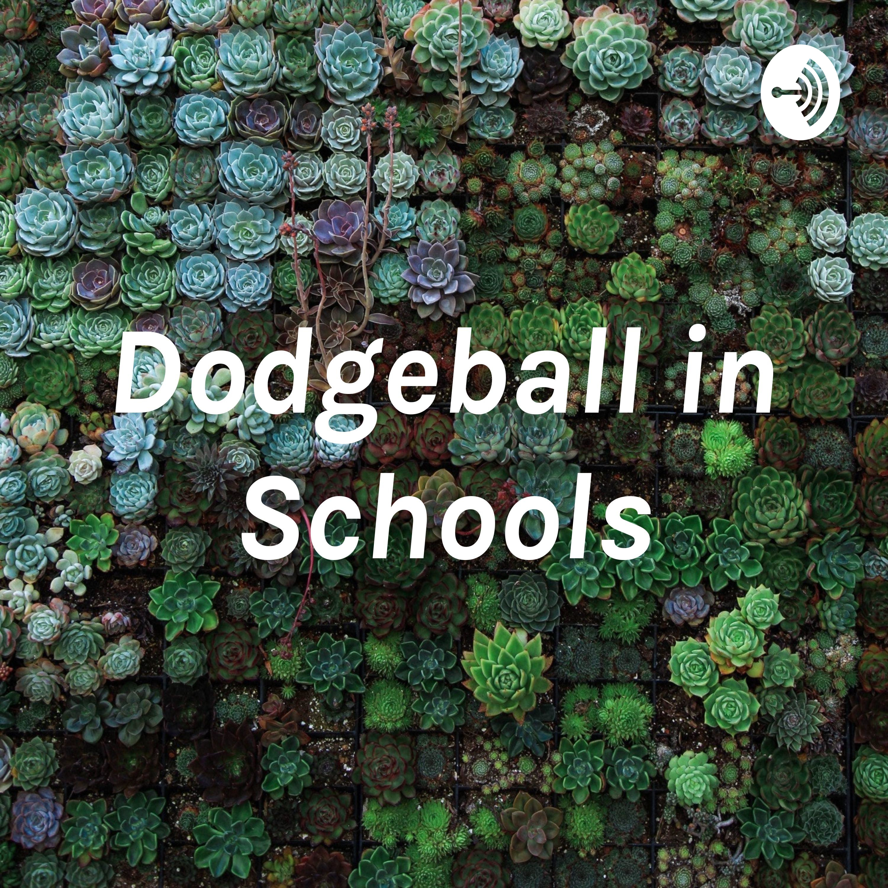 Dodgeball in Schools