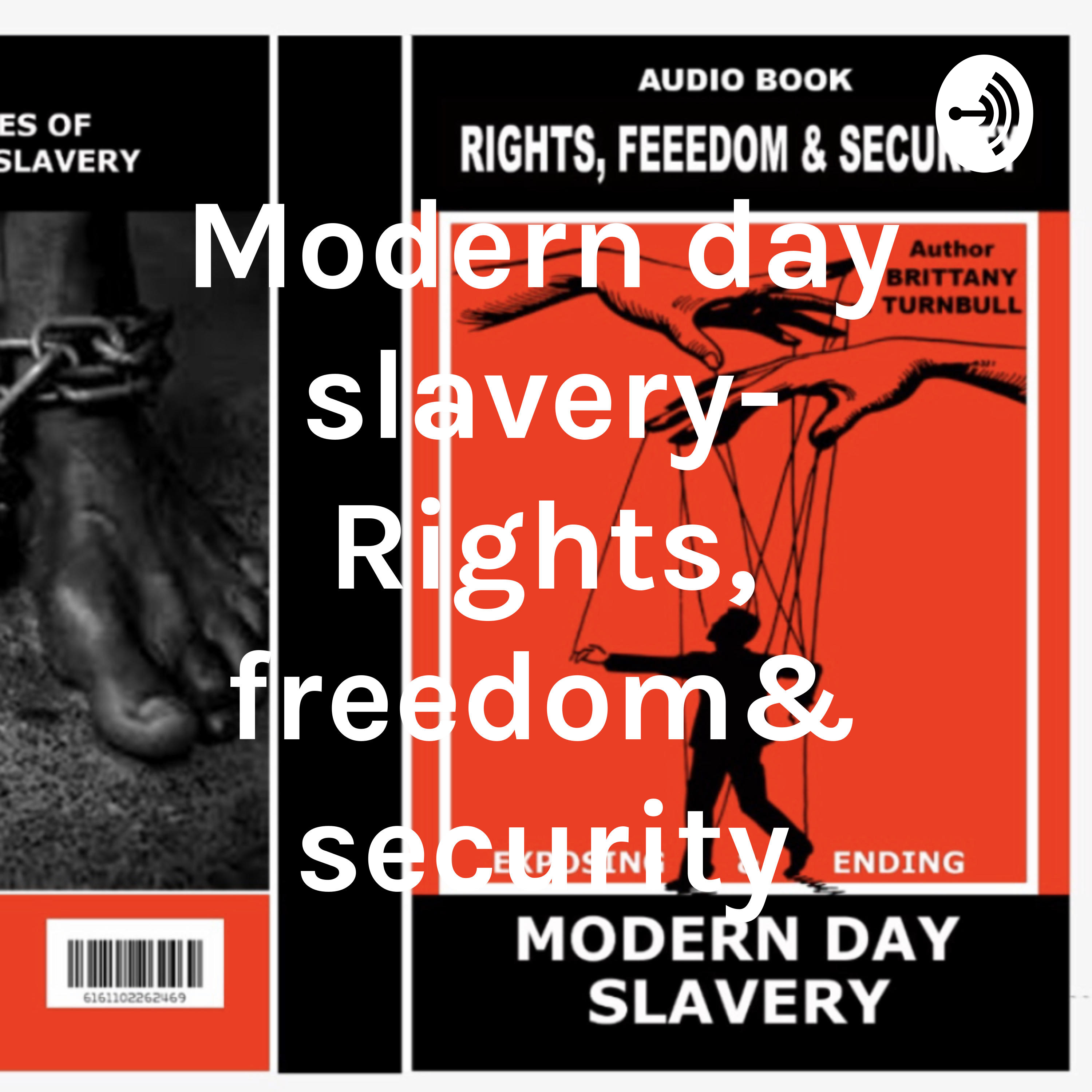 A look into the matter of rights, freedom and security