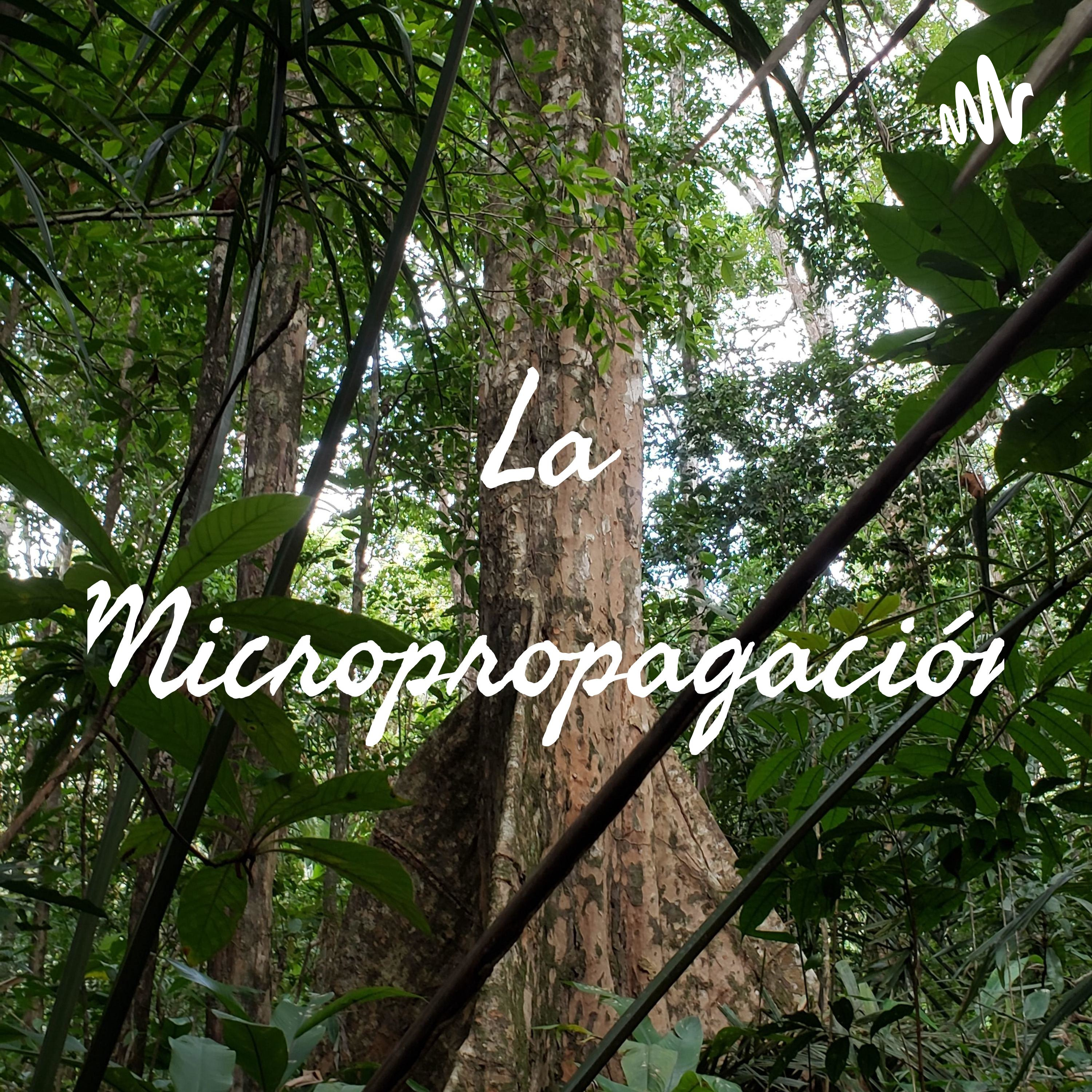 La Micropropagación