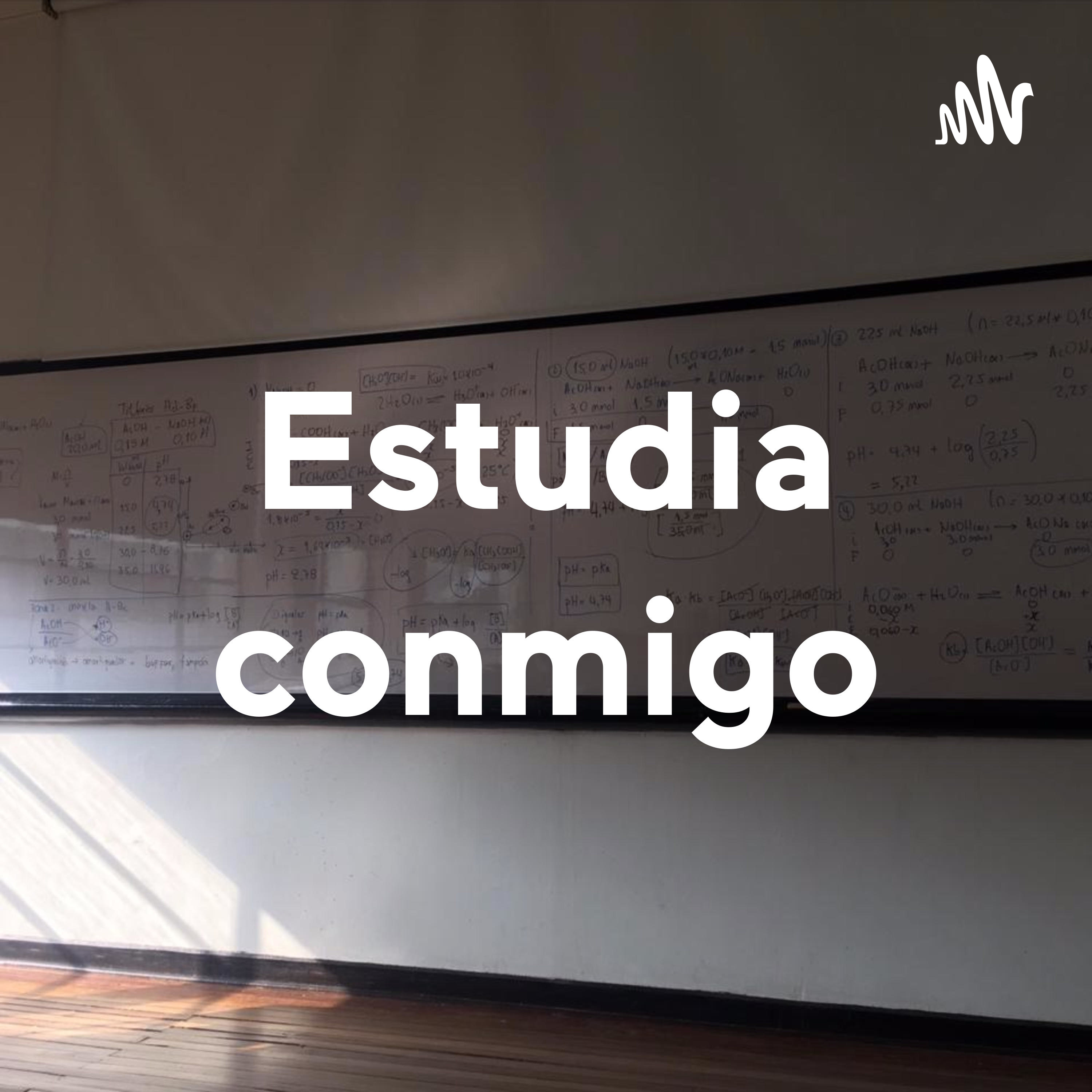Estudia con Daniela