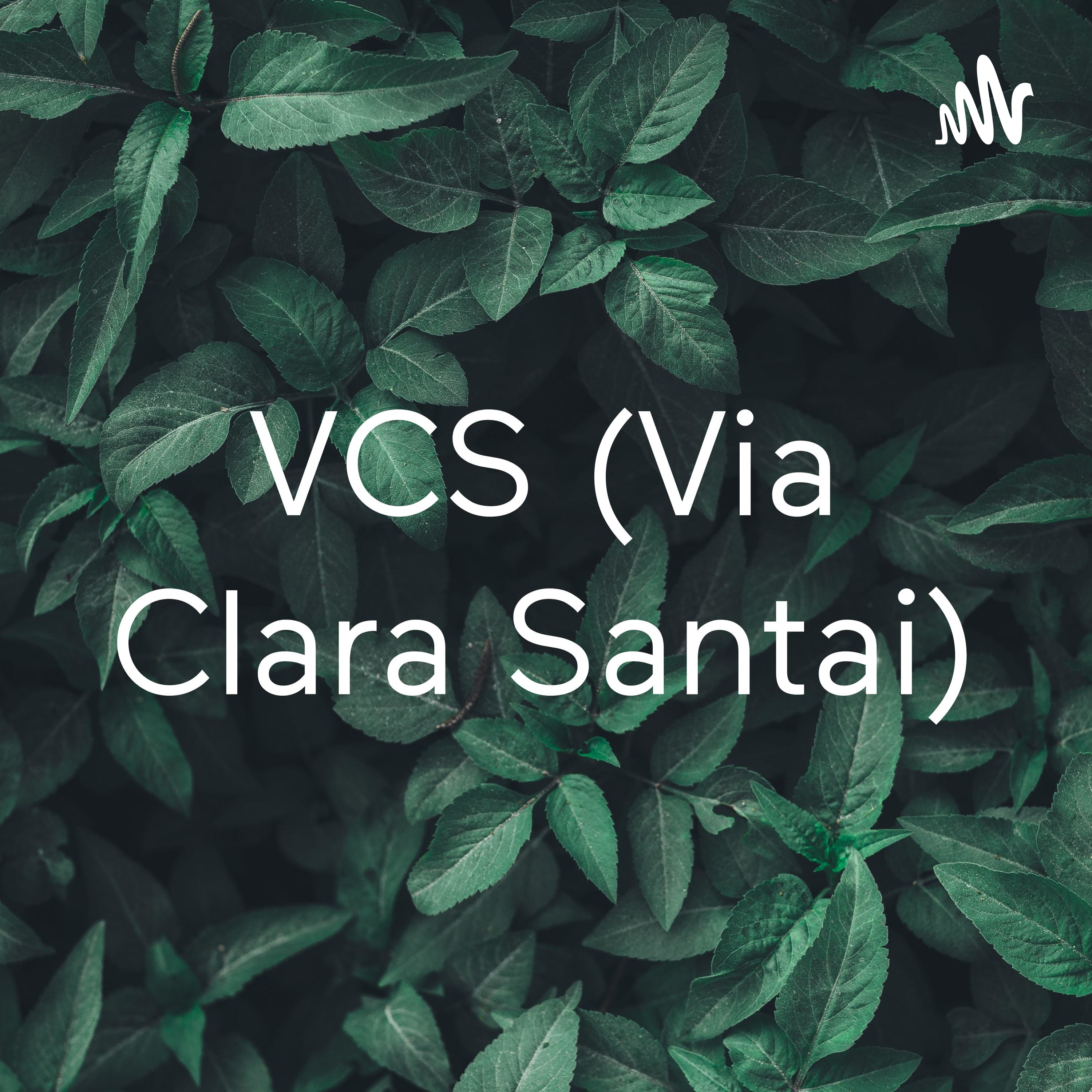 VCS (Via Clara Santai) cover art
