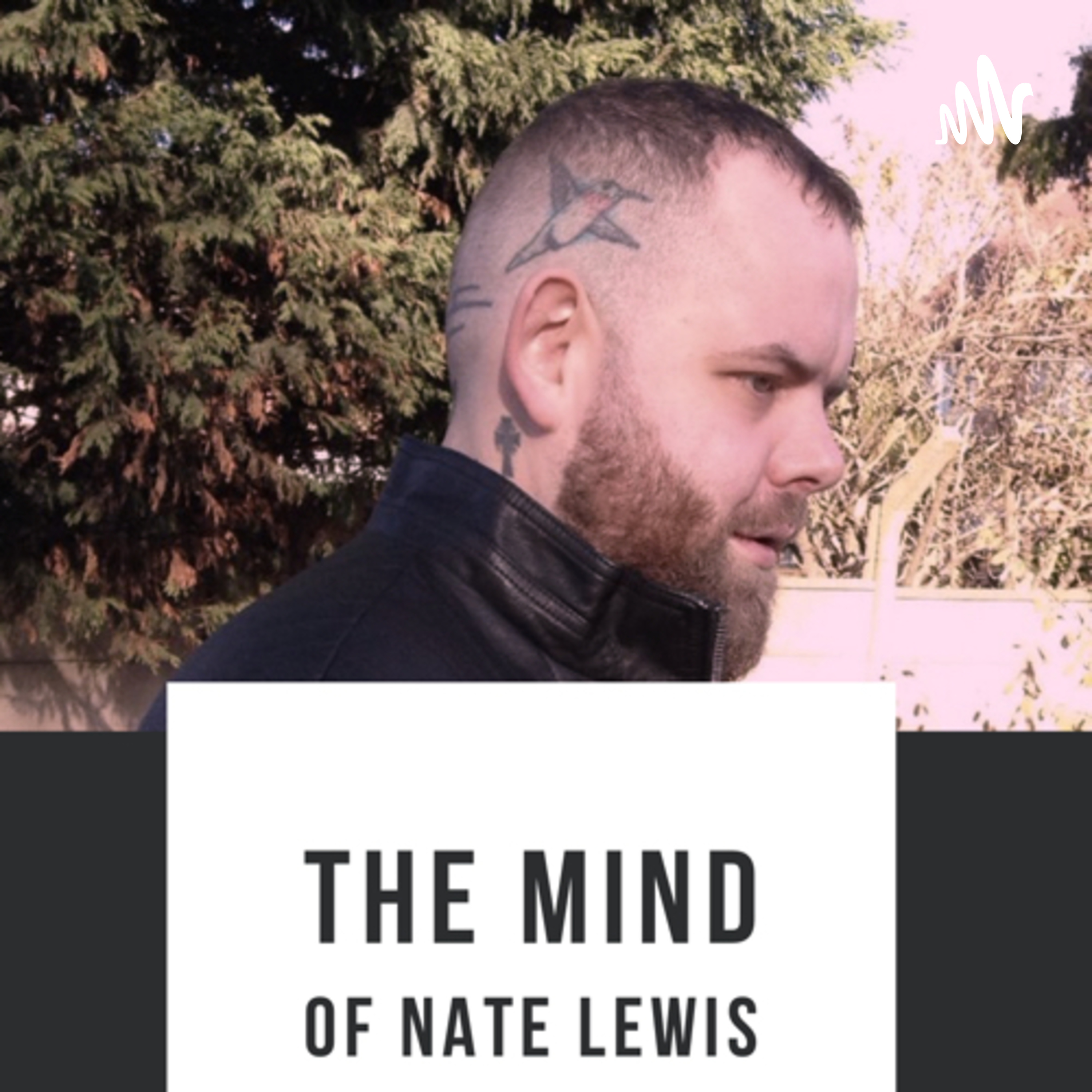 The Mind of Nate lewis