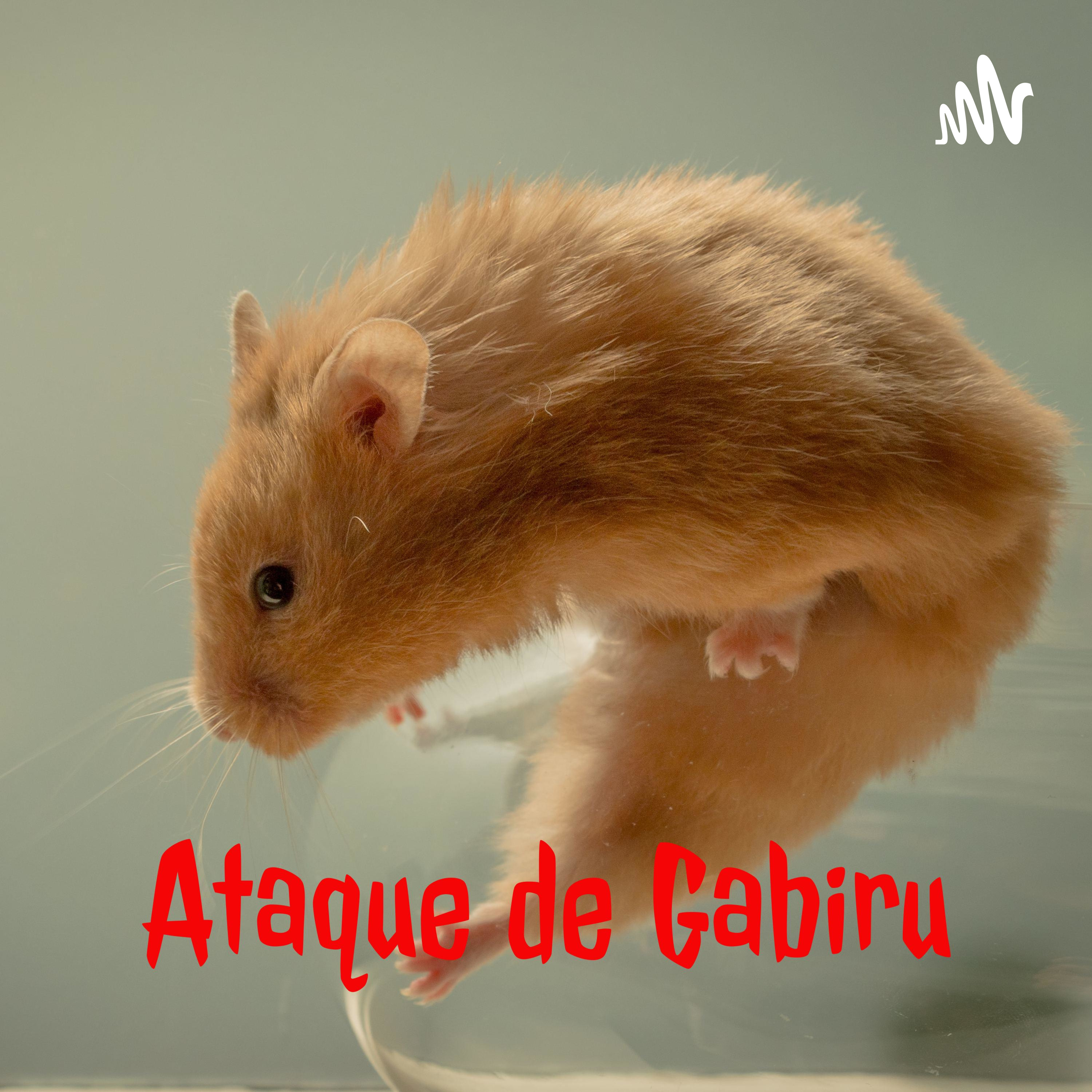 Ataque de Gabiru