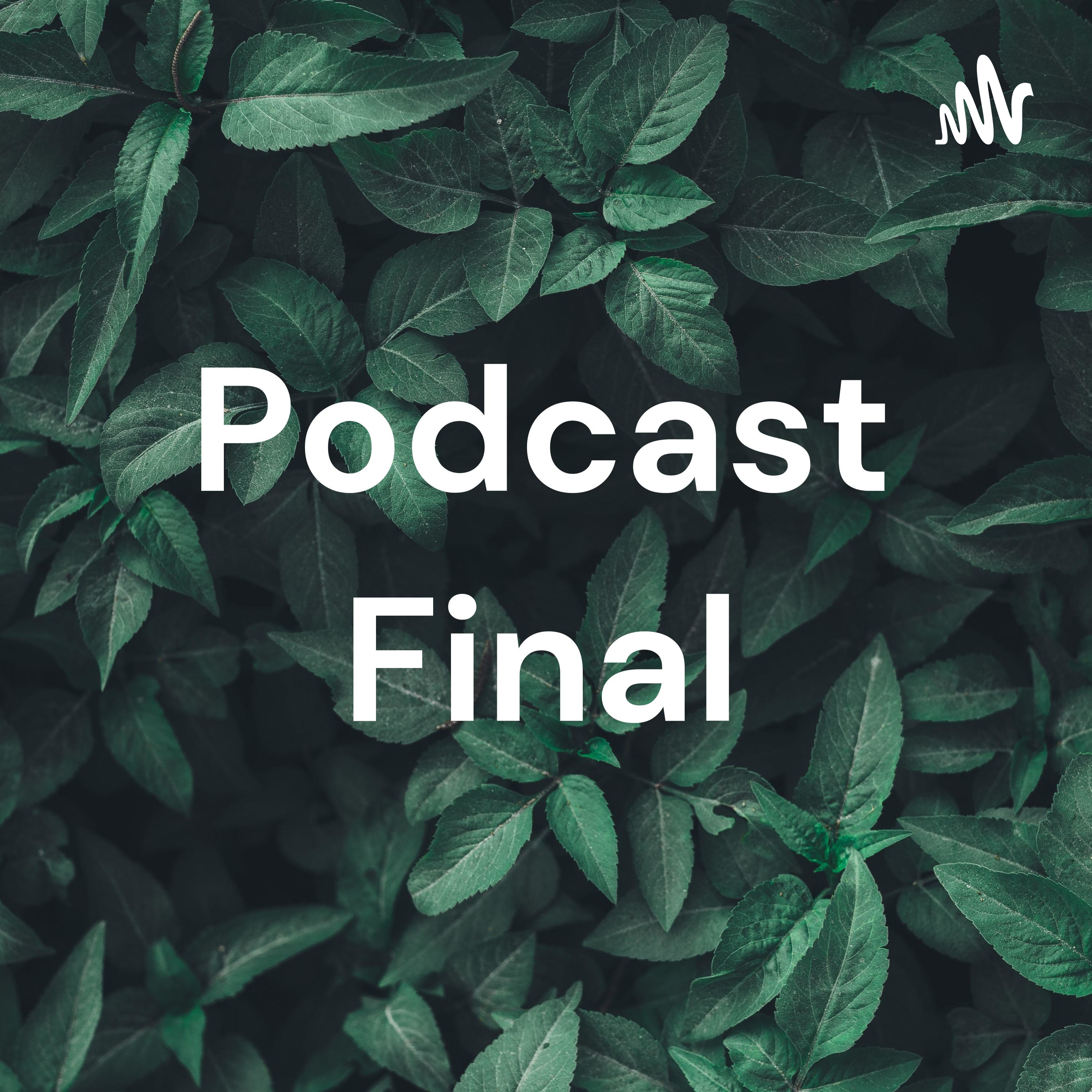Podcast Final
