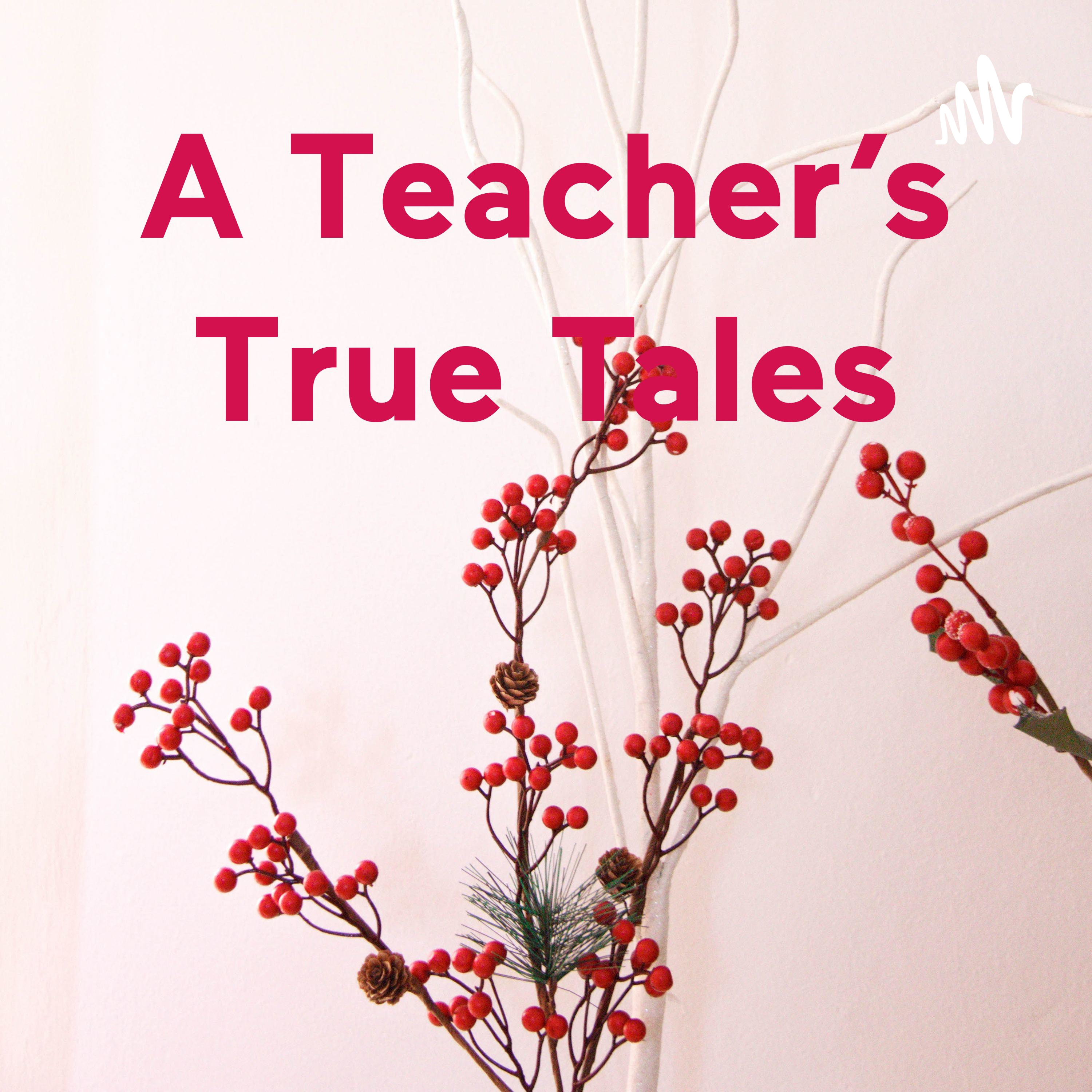 A Teacher’s True Tales