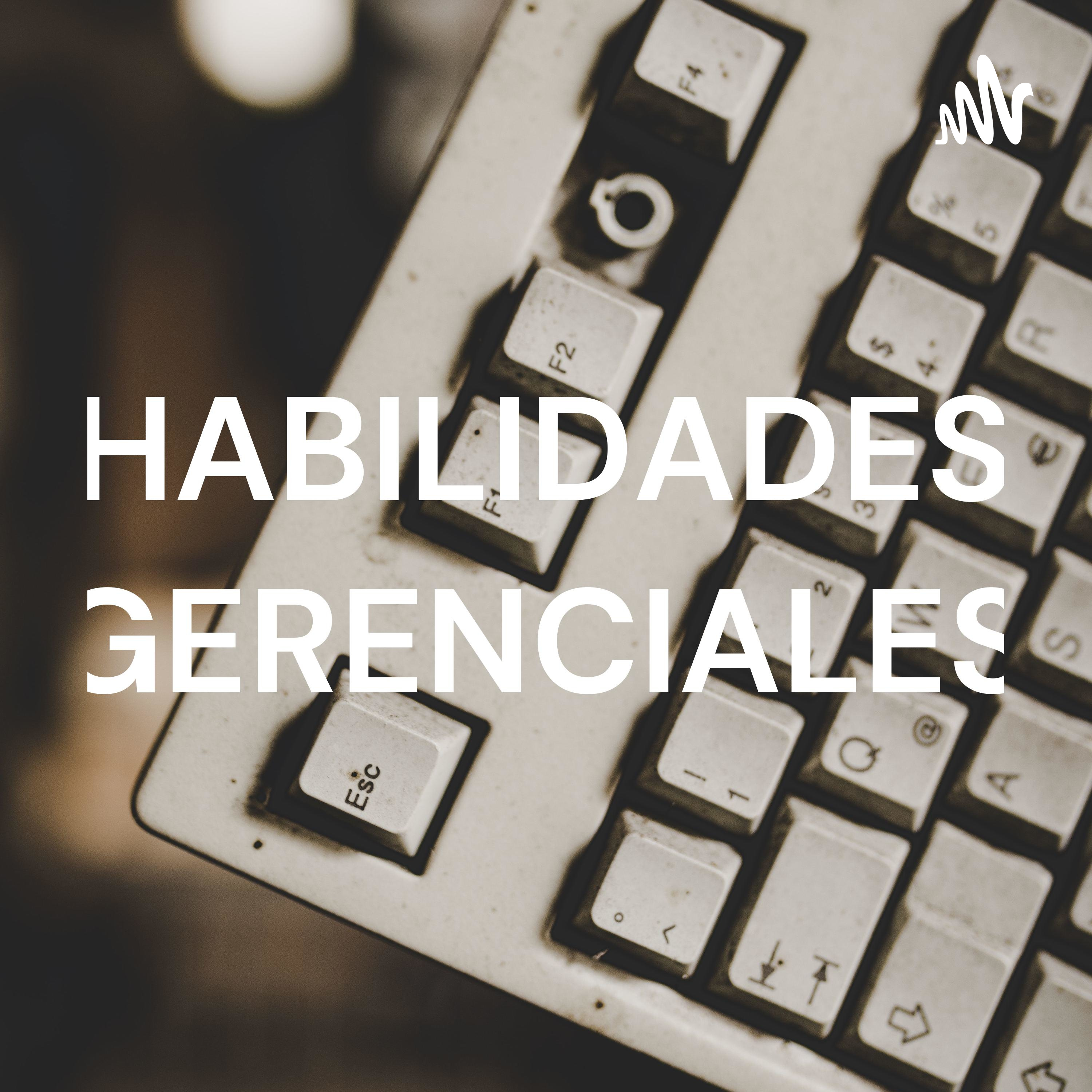 HABILIDADES GERENCIALES