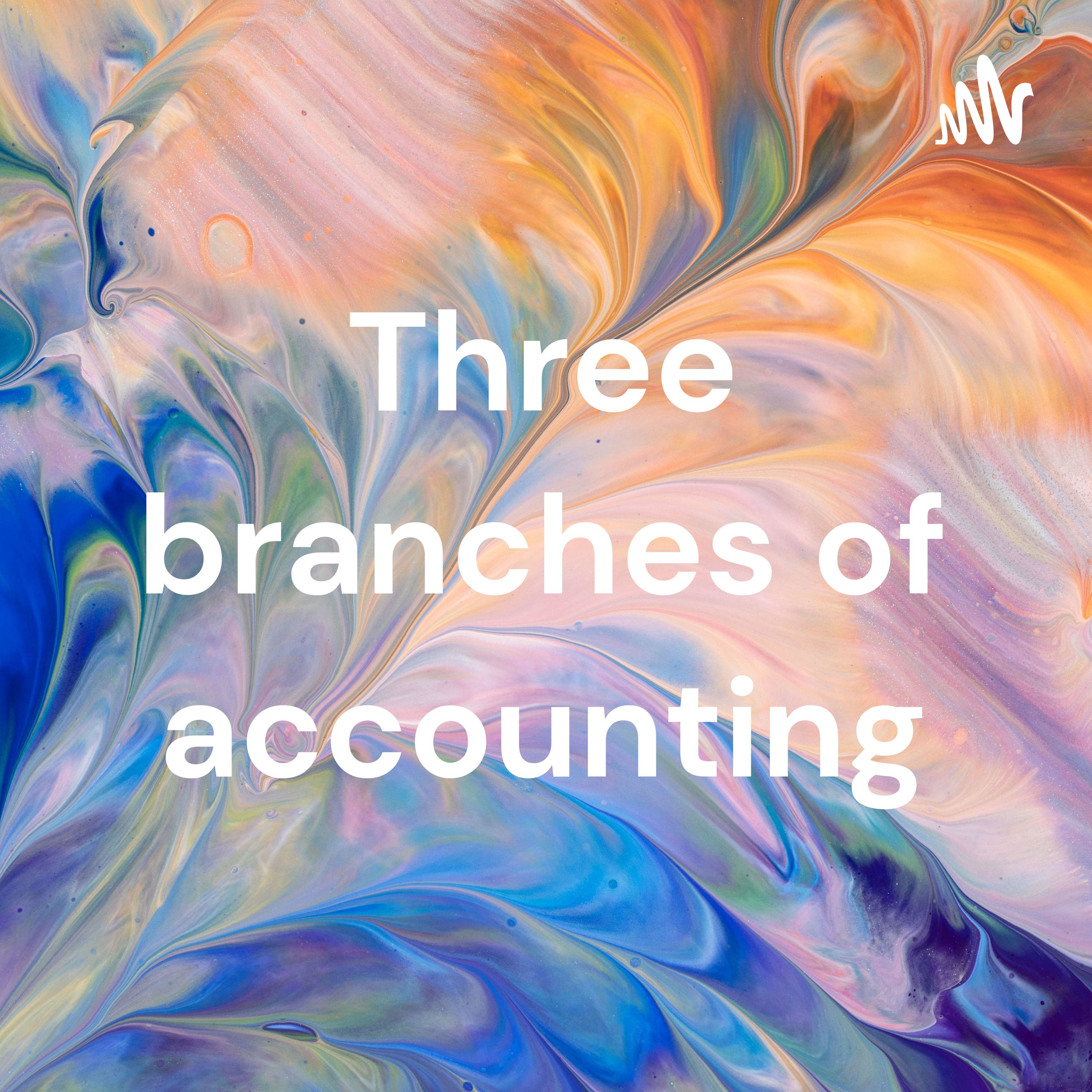 Three branches of accounting