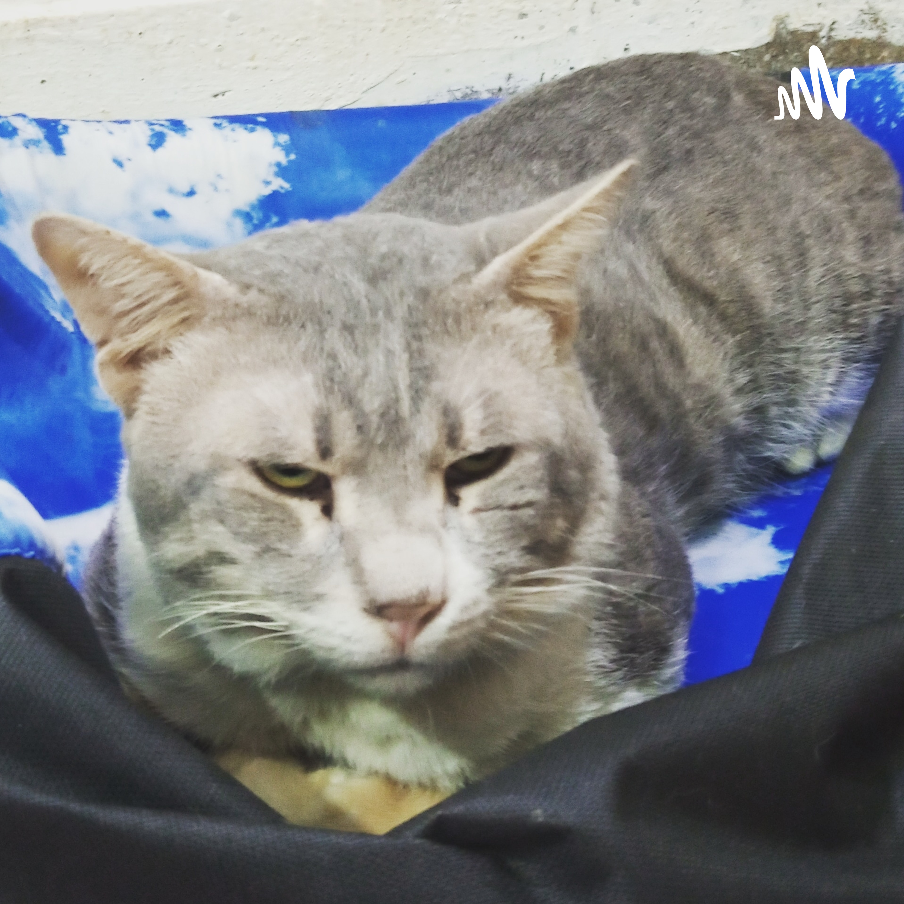 بانگ درا cover art