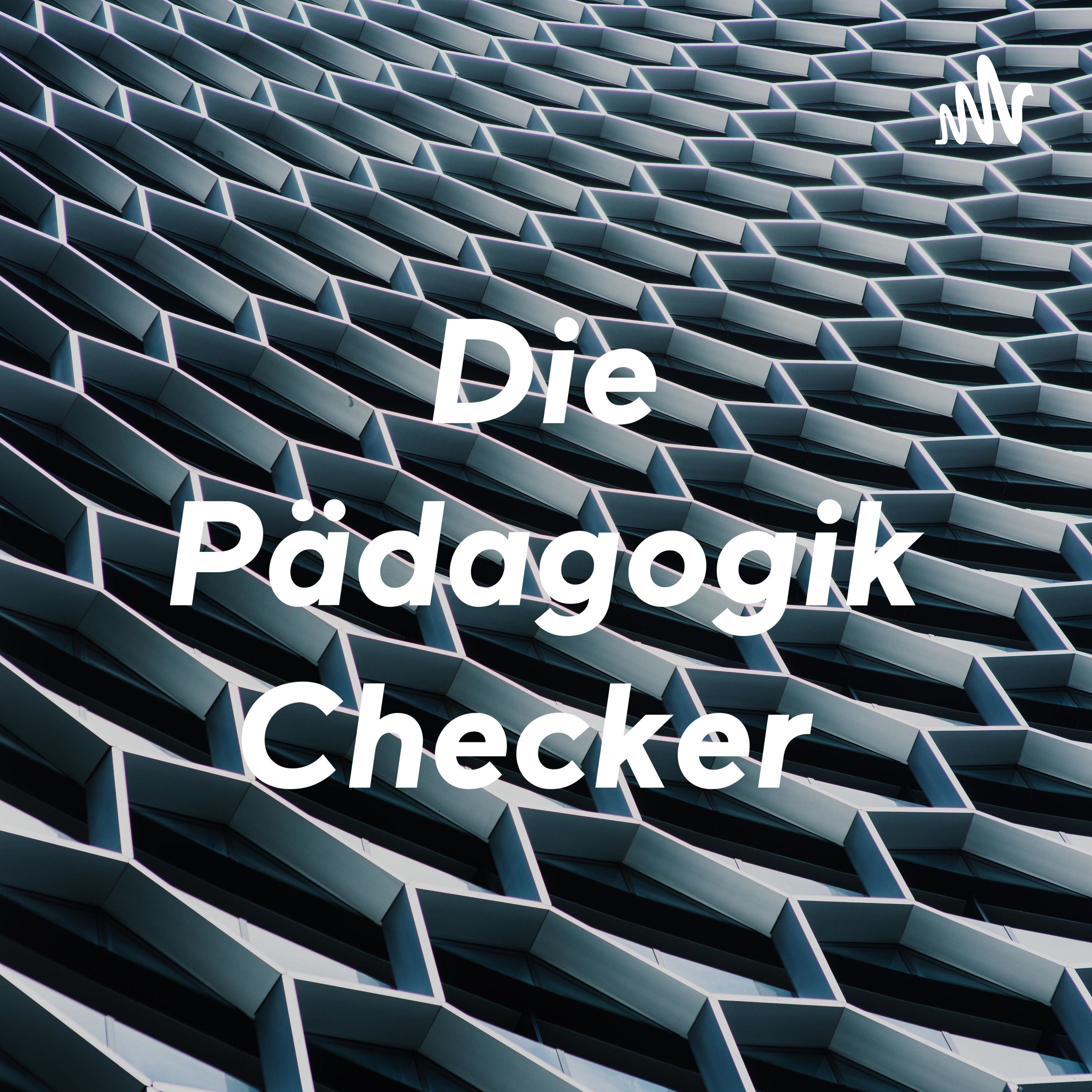 Die Pädagogik Checker 