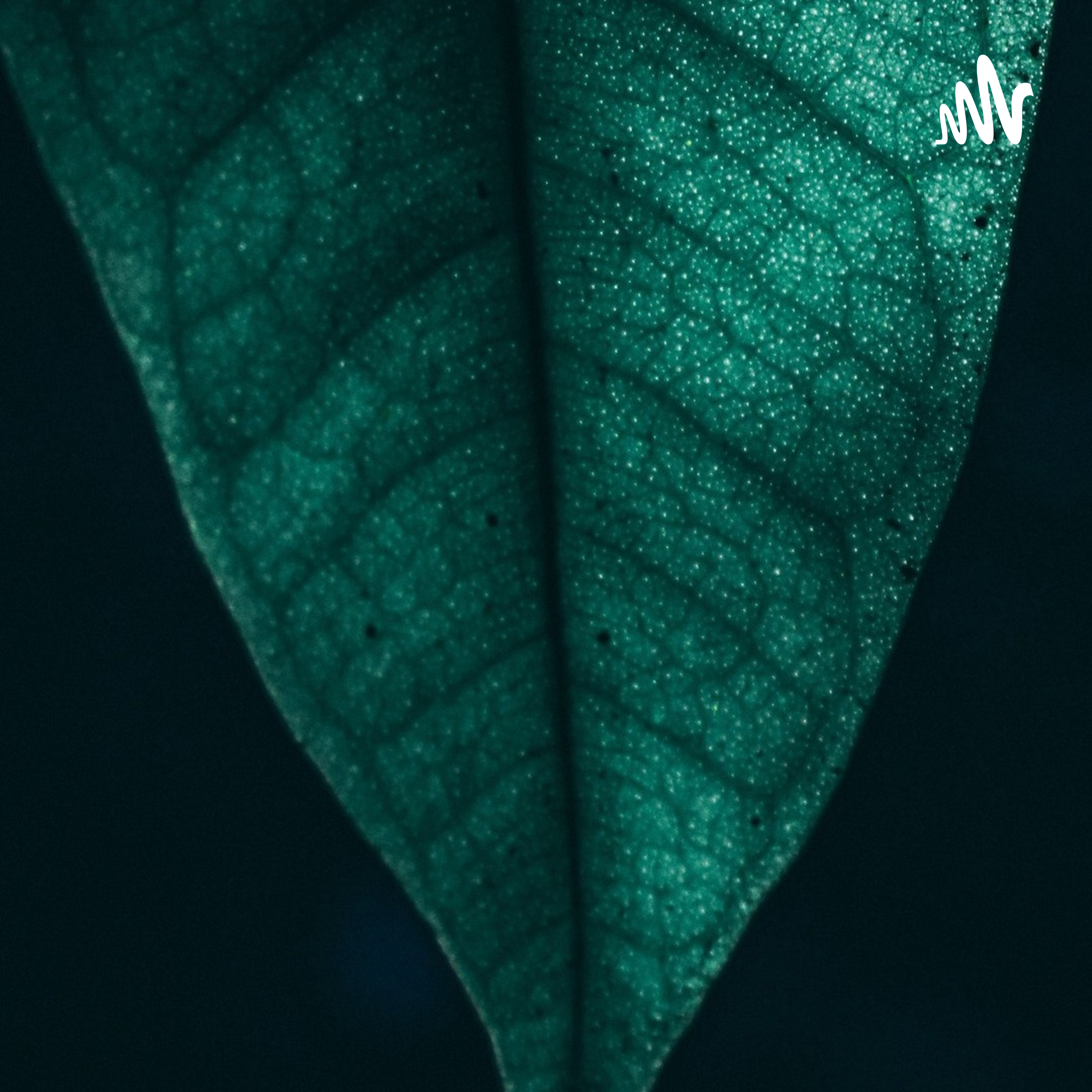 José Miguel Sánchez Jiménez 2ATM cover art