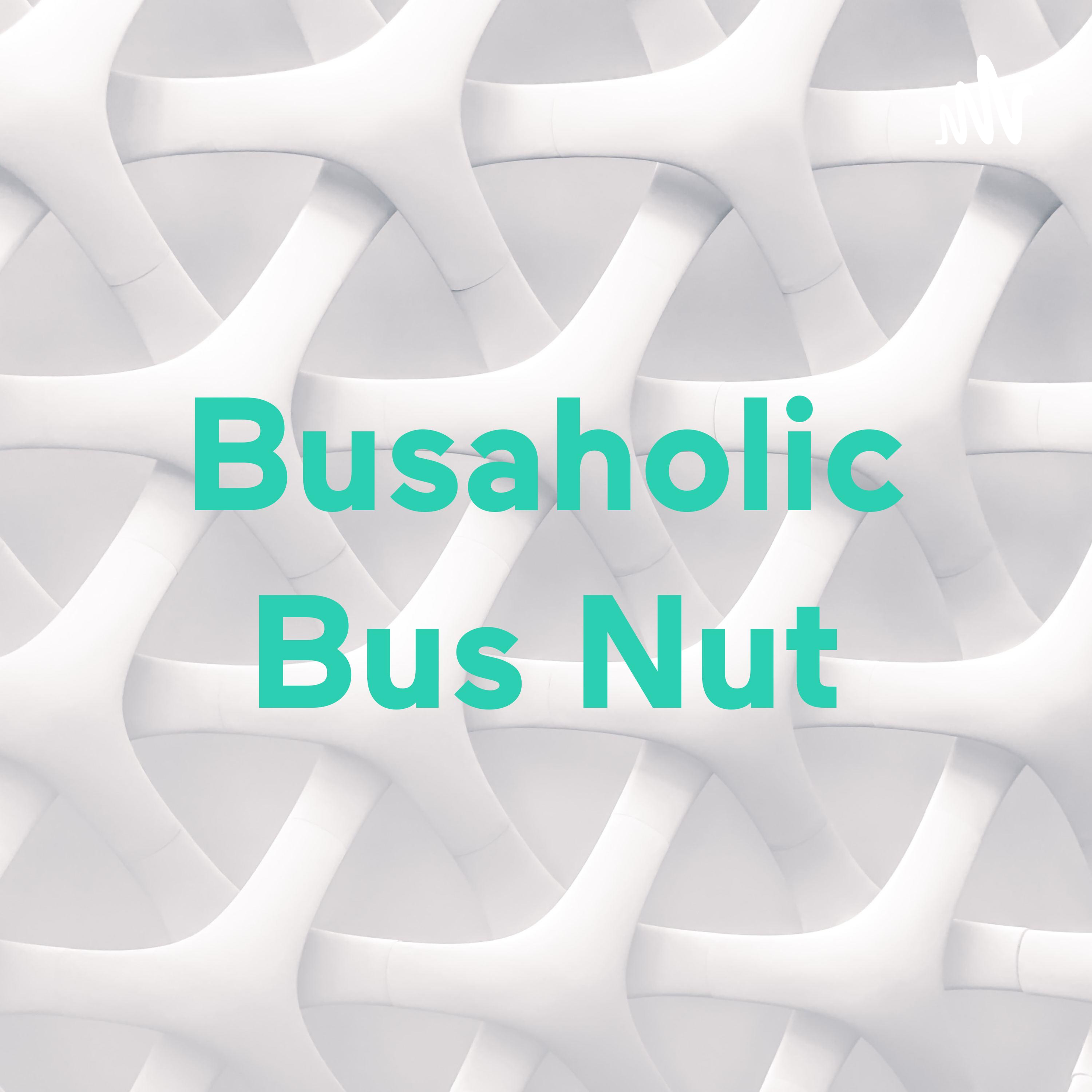 Busaholic Bus Nut