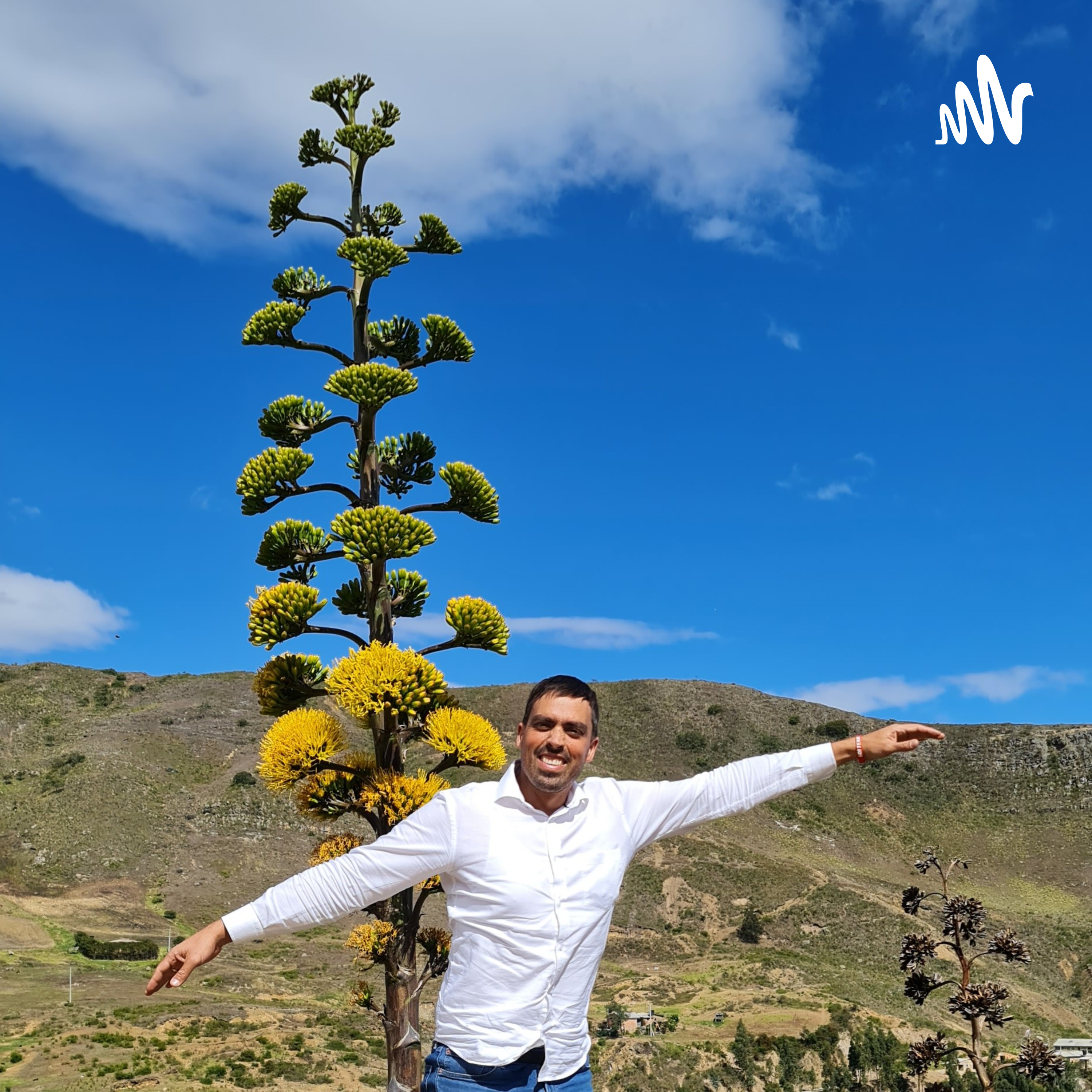 Angel de Emprendedores