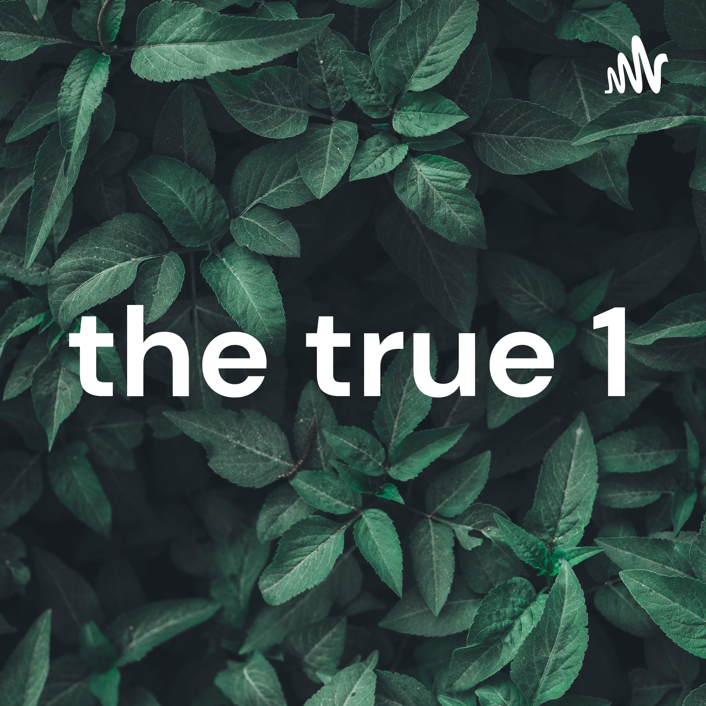 the true 1 cover art