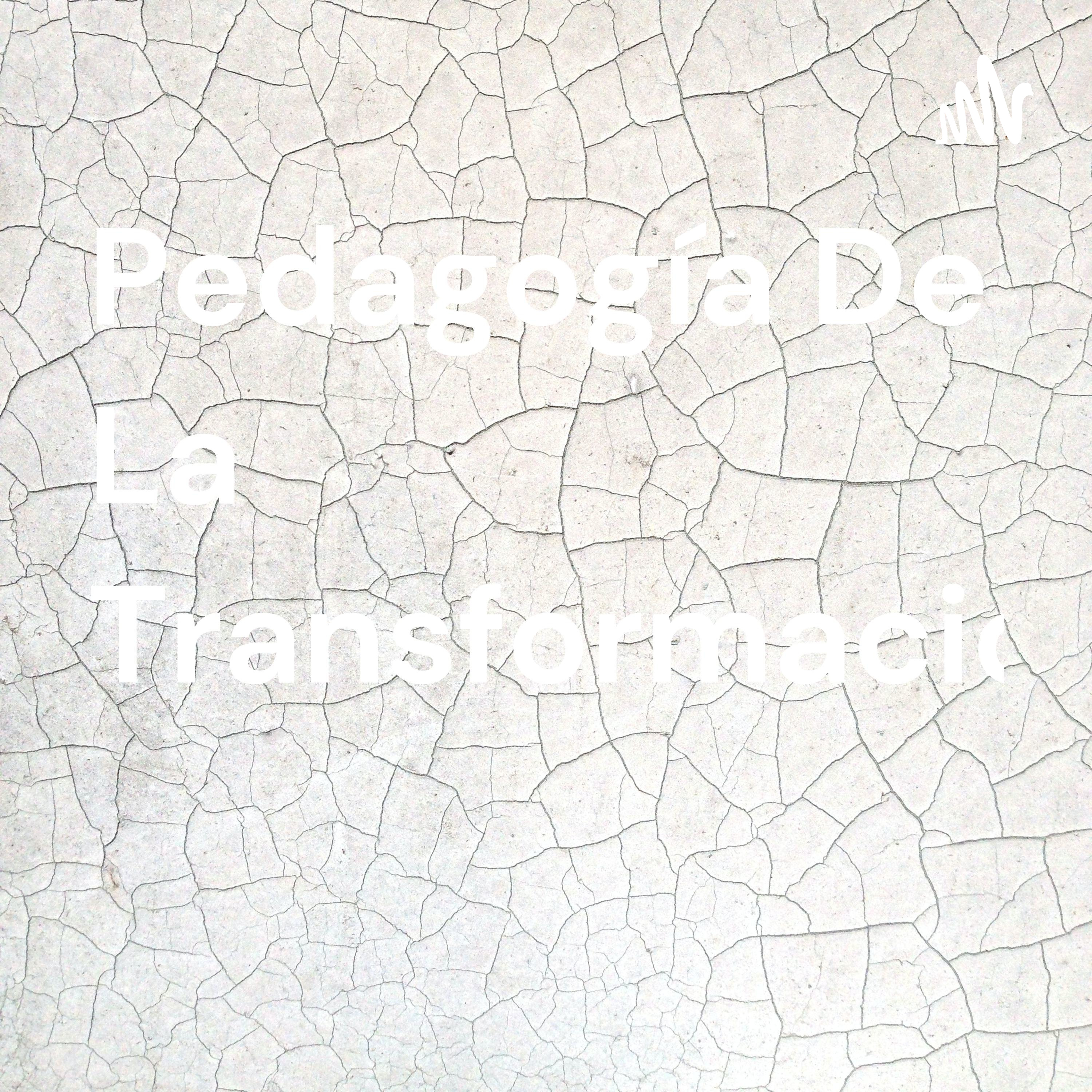 Pedagogía De La Transformación 
