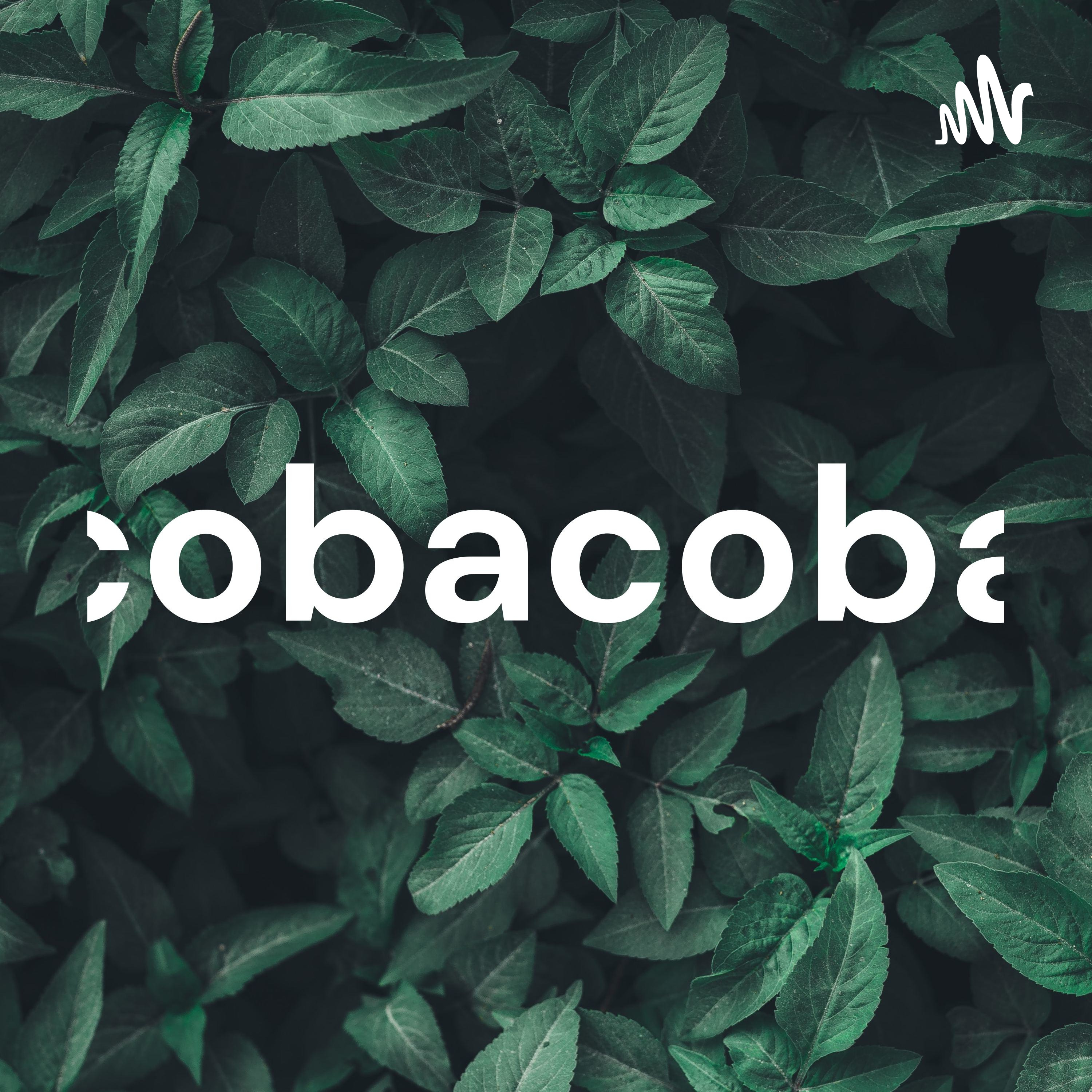 cobacoba