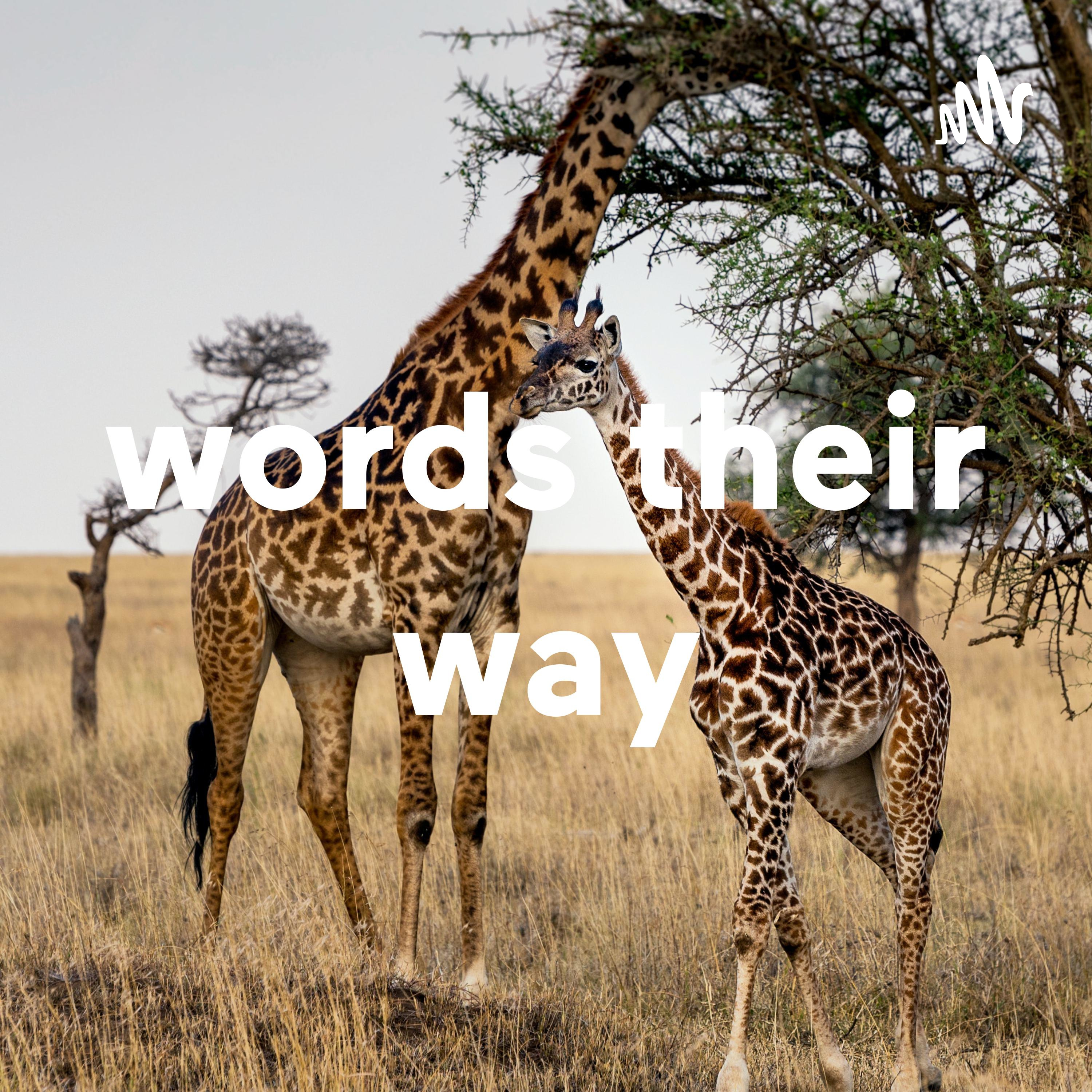 words their way