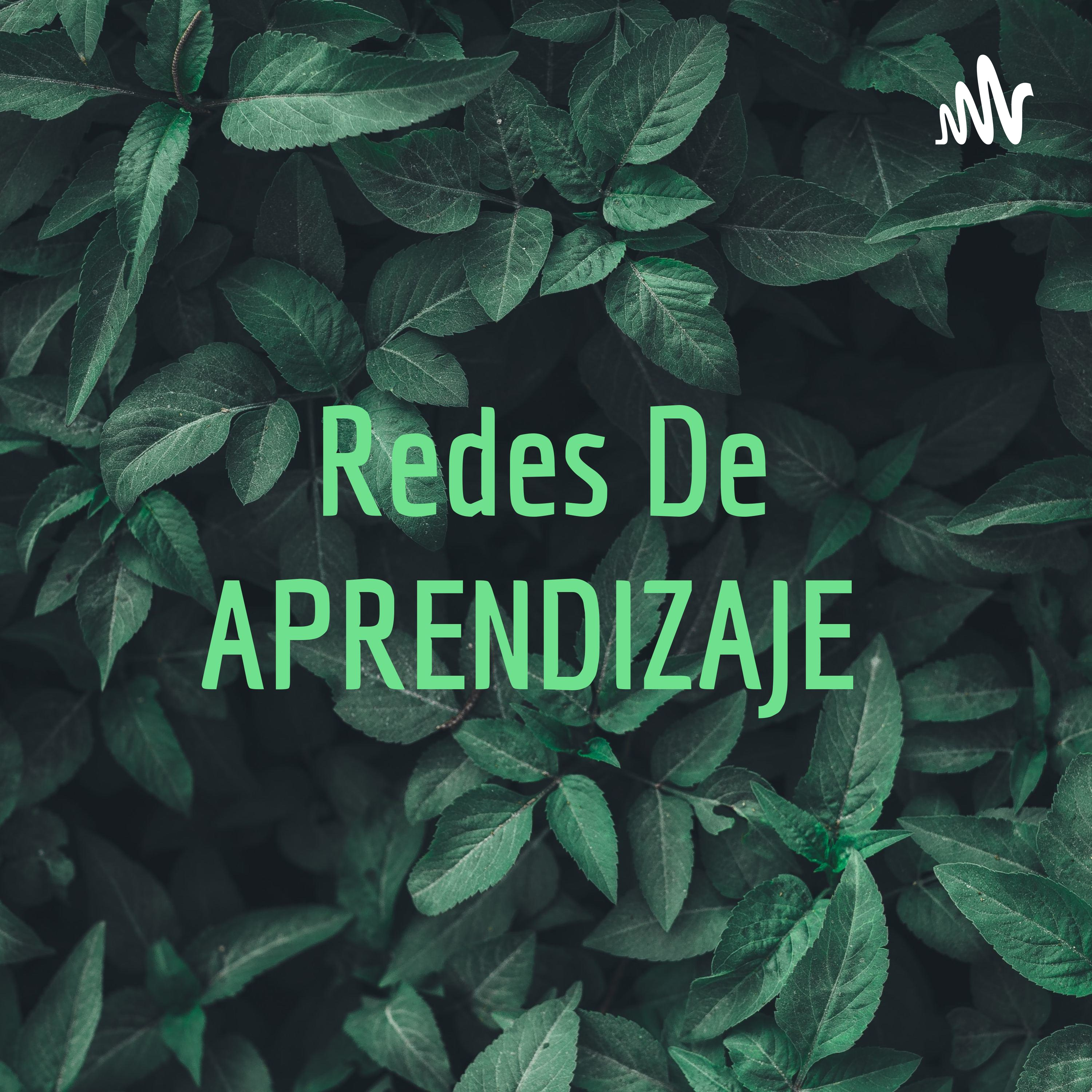 Redes De APRENDIZAJE 