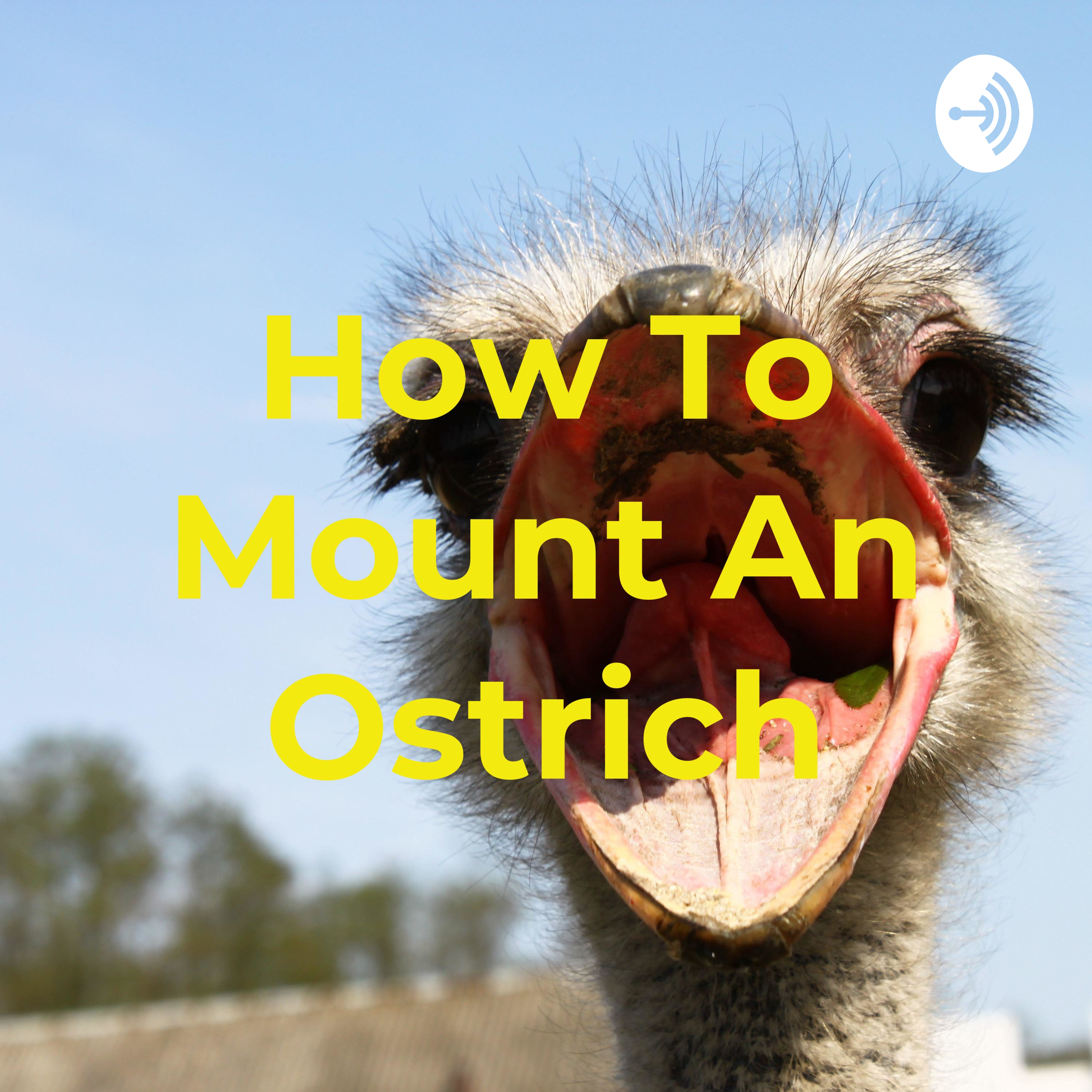 How To Mount An Ostrich