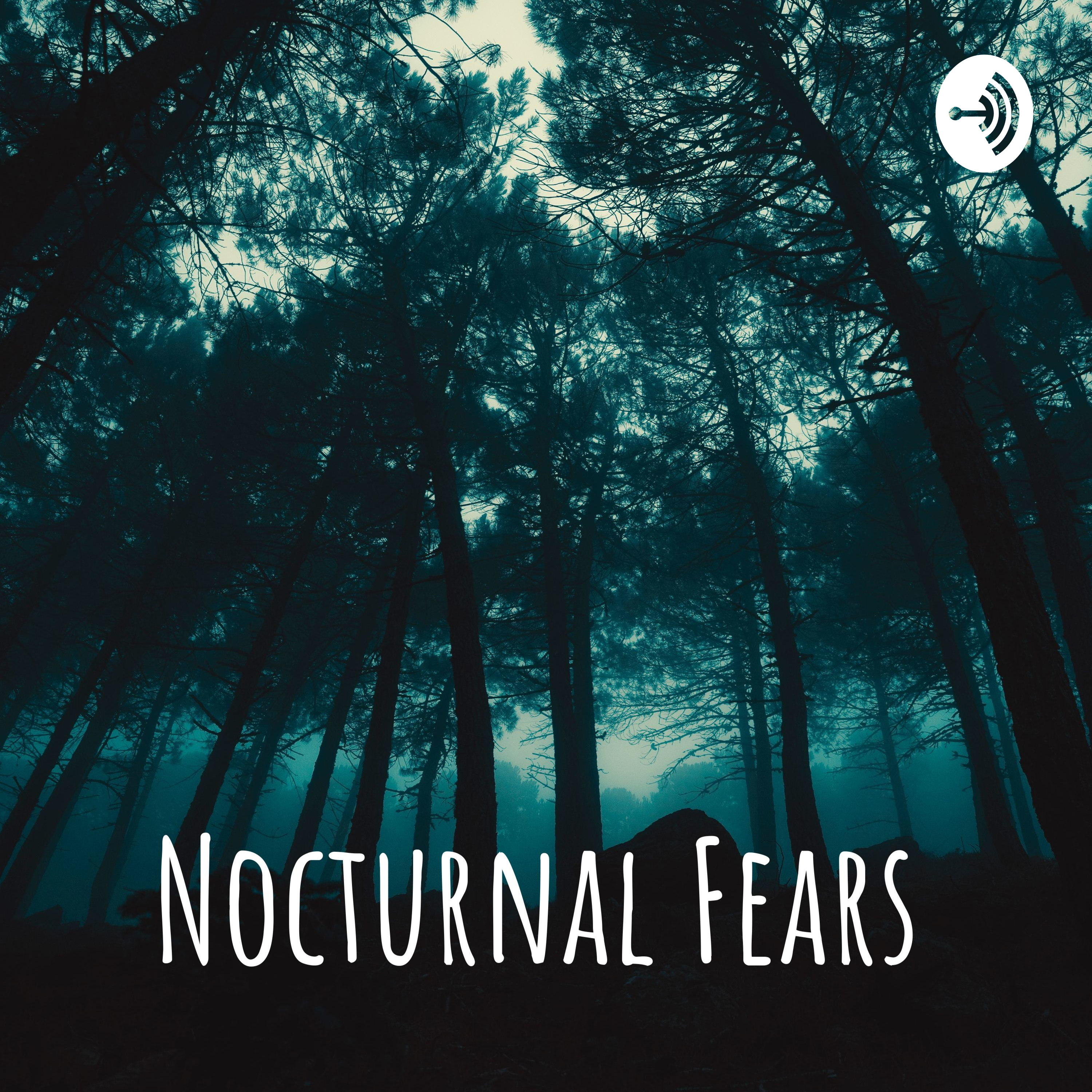 Nocturnal Fears