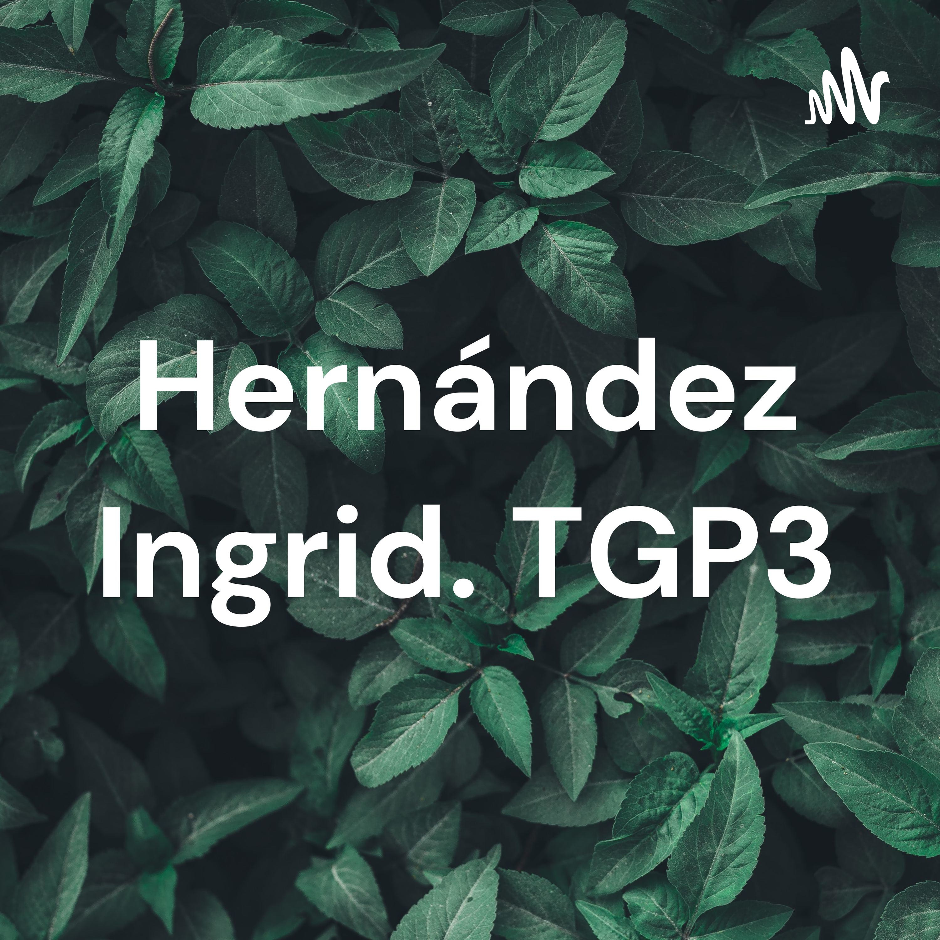 Hernández Ingrid. TGP3