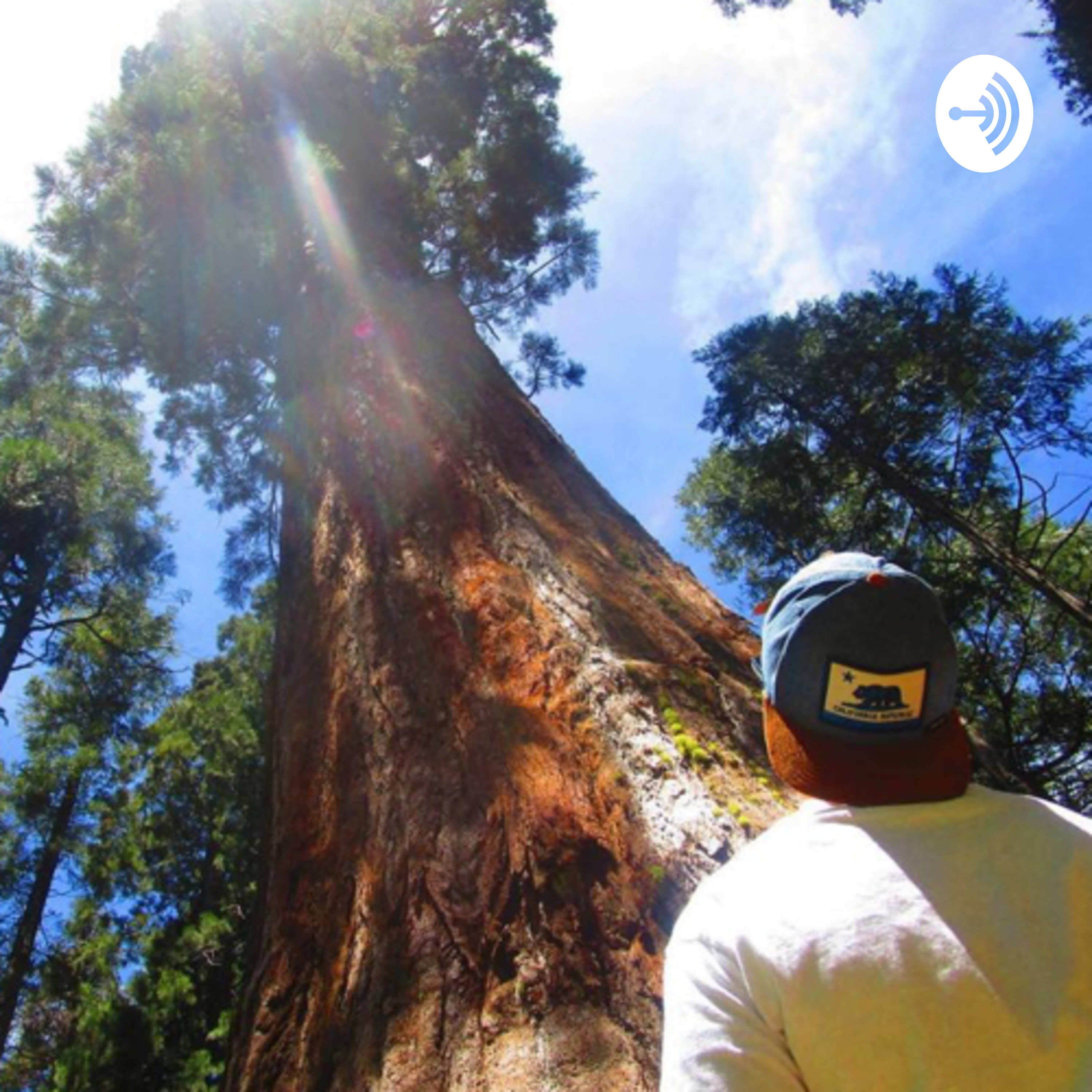 Welcome Back Welcome Back