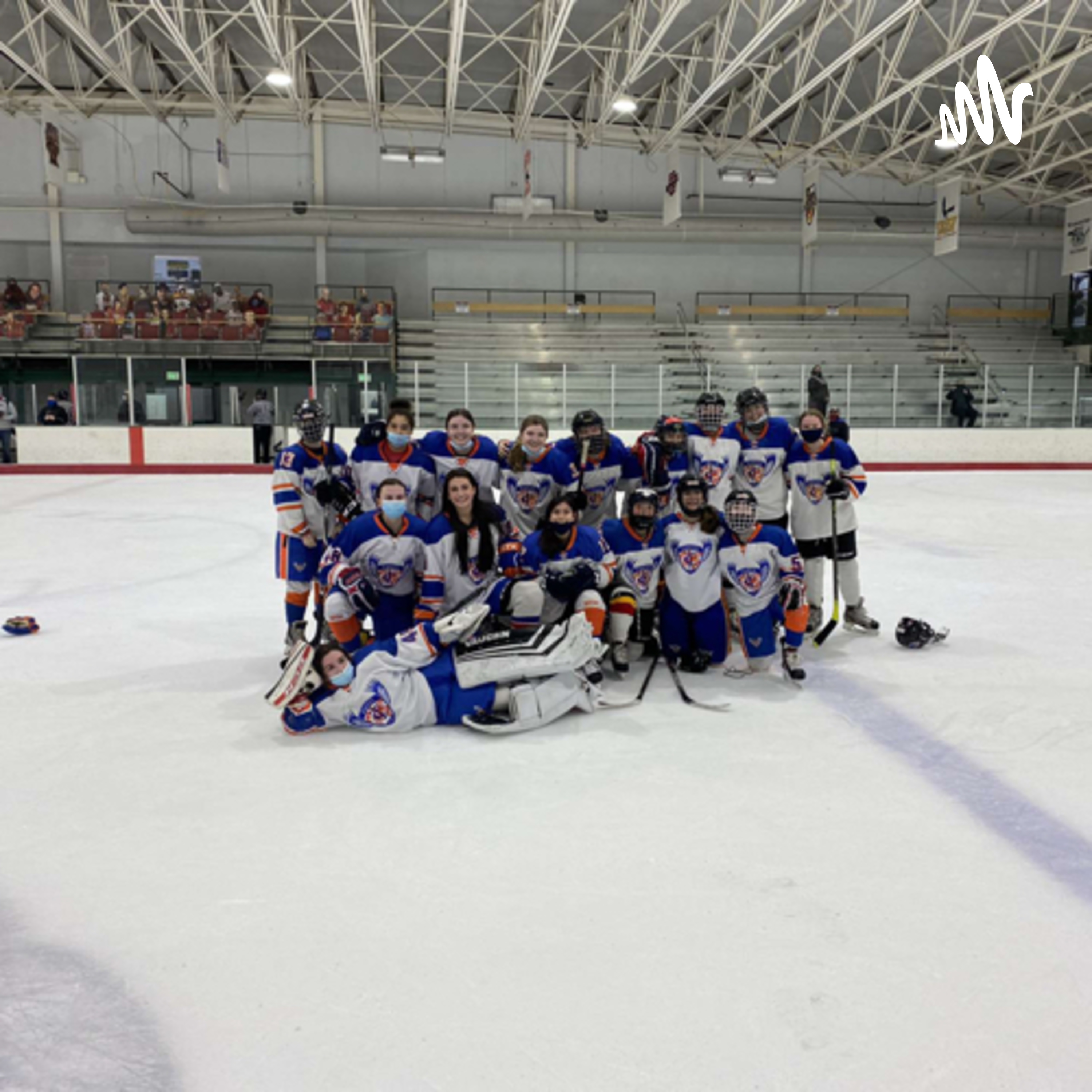 Mighty ducks series commentary