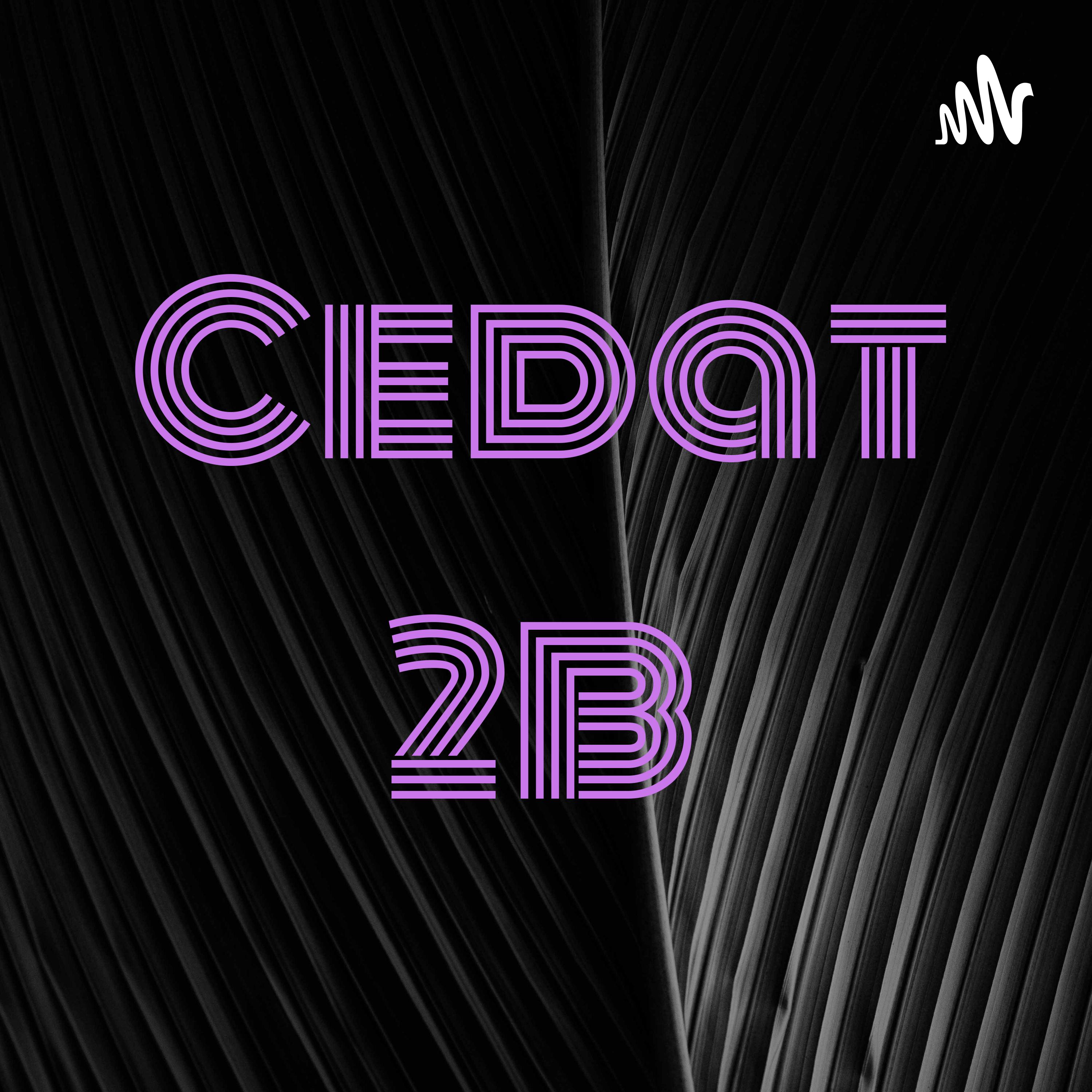Cedat 3B podcast artwork