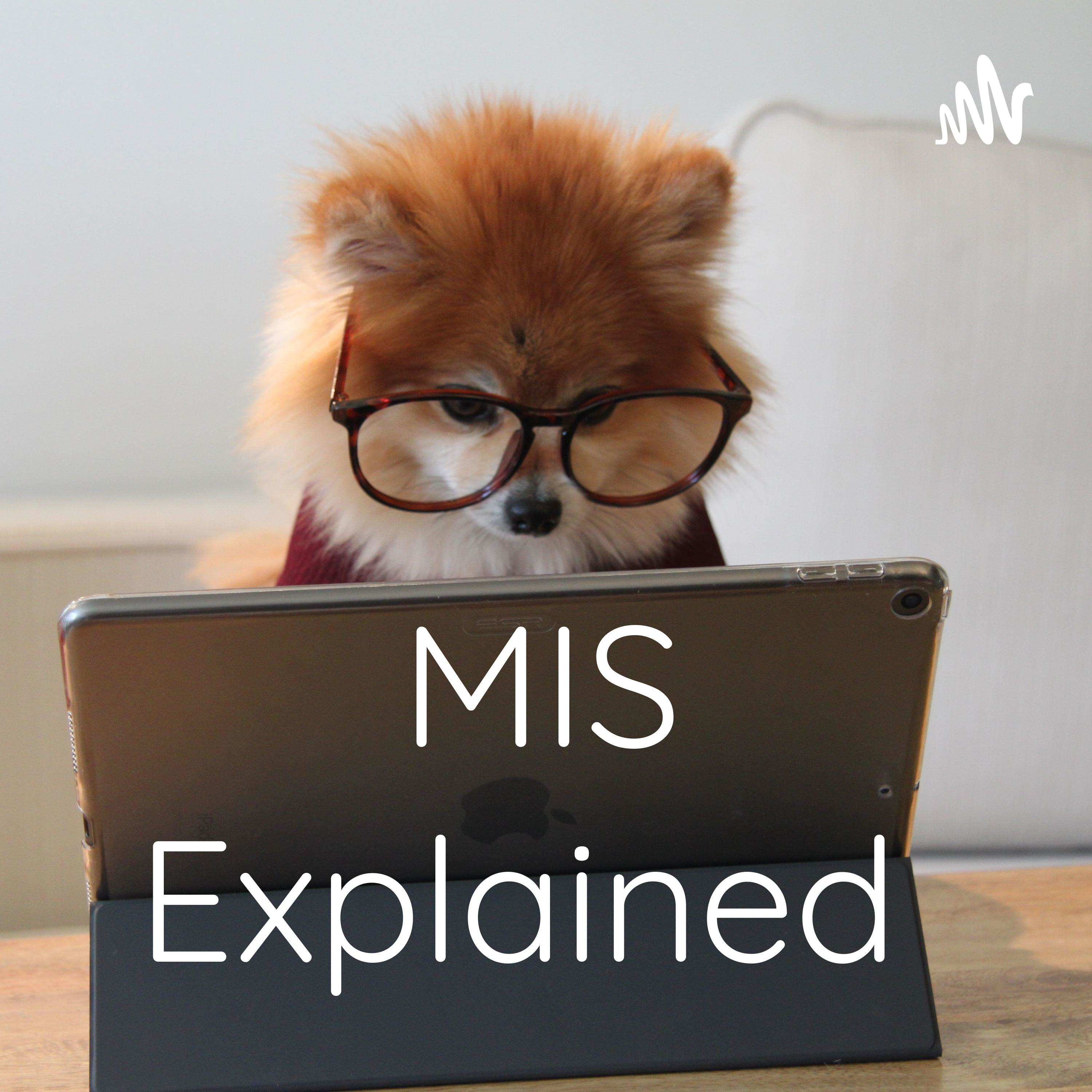 MIS Explained