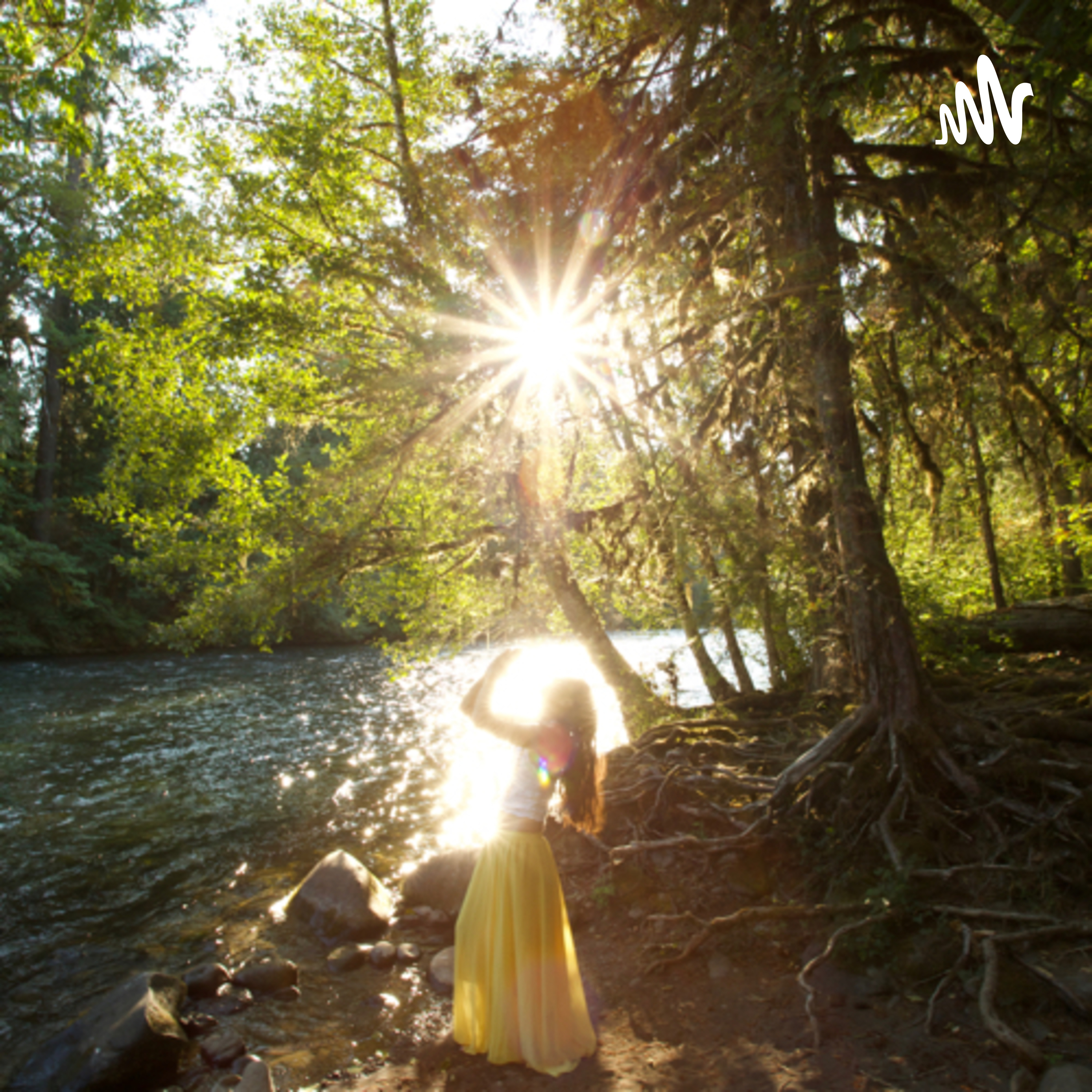 Light Room - Ignite Your Light ✨