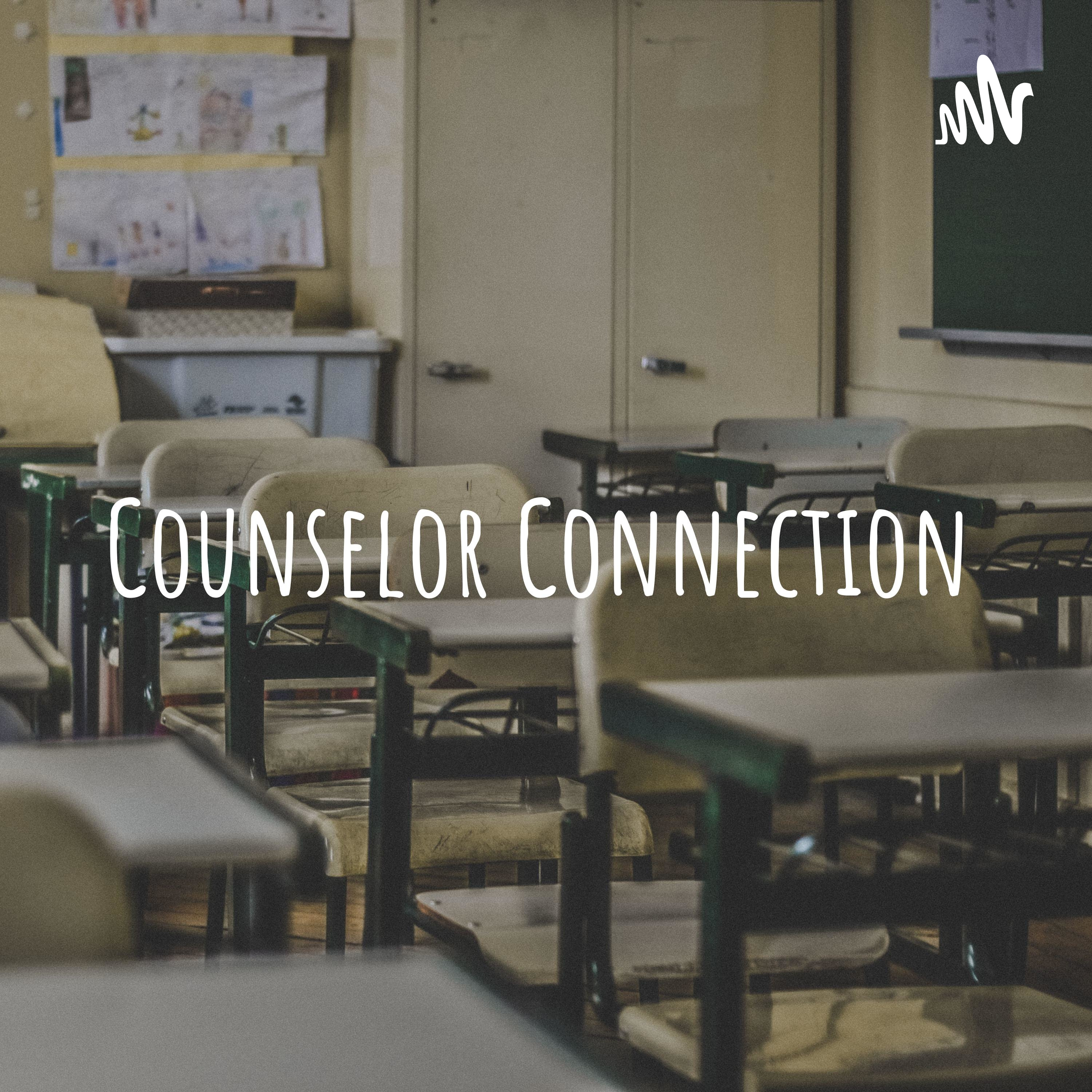 Counselor Connection: Parents Guide to FBA’s