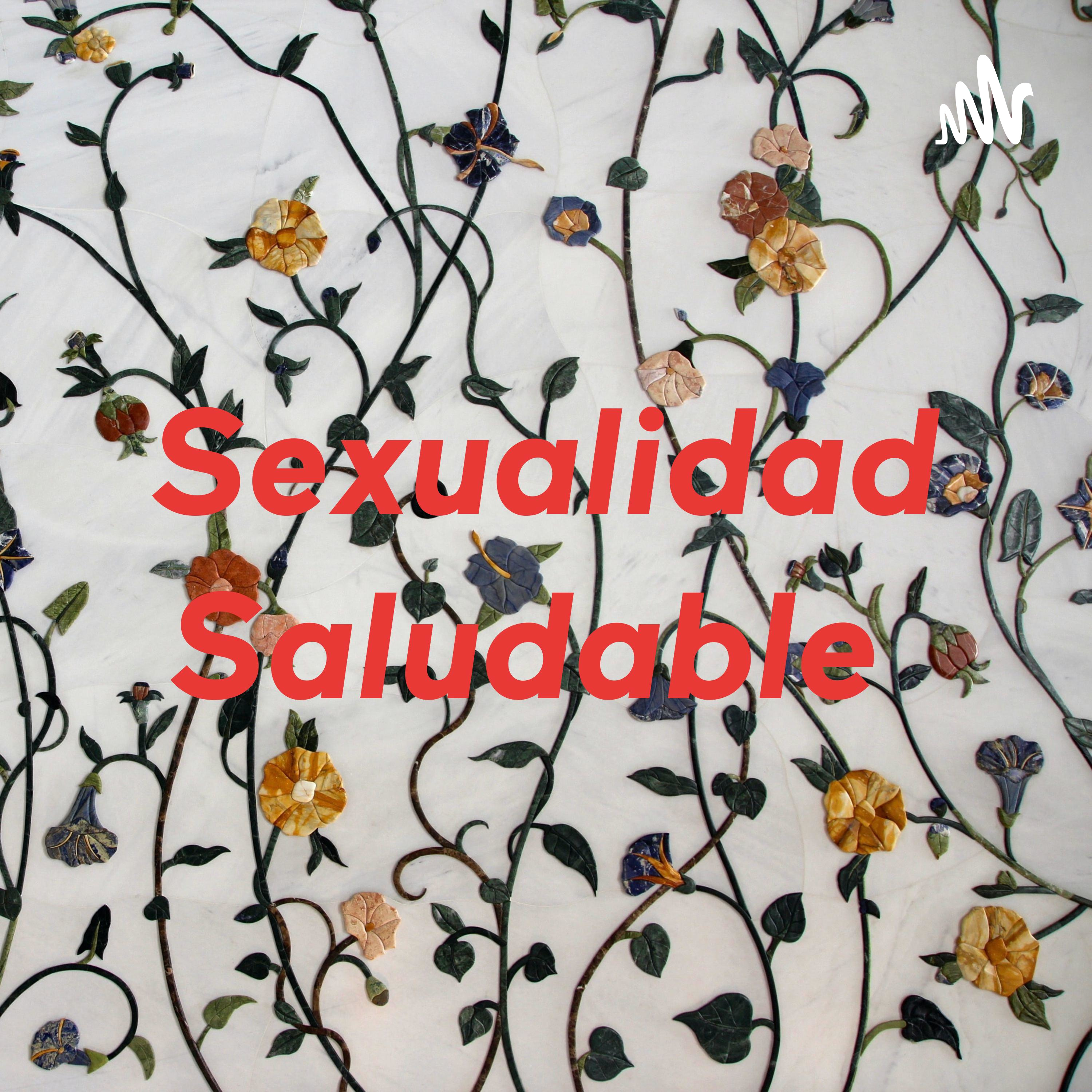 Sexualidad Saludable 