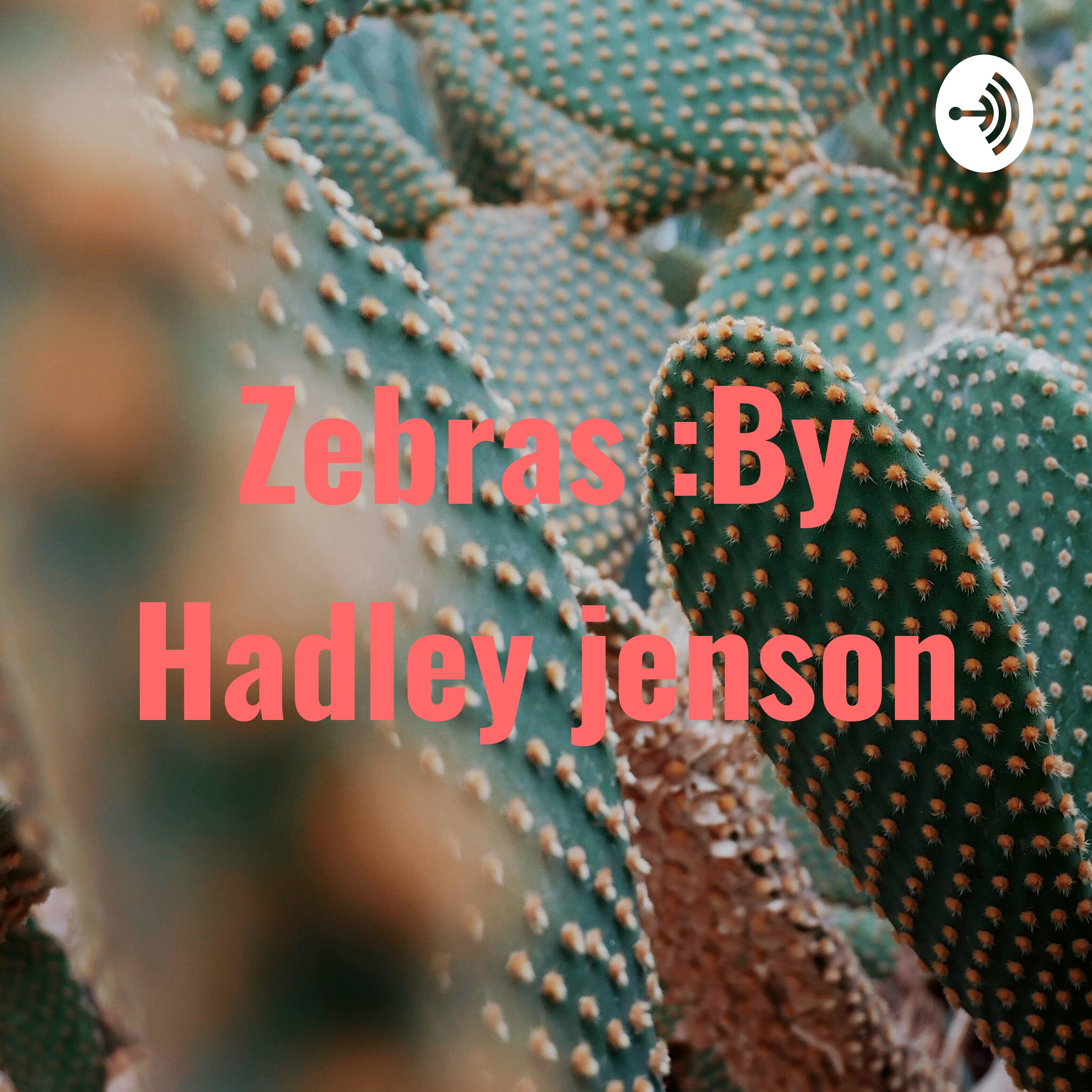 Zebras :By Hadley jenson