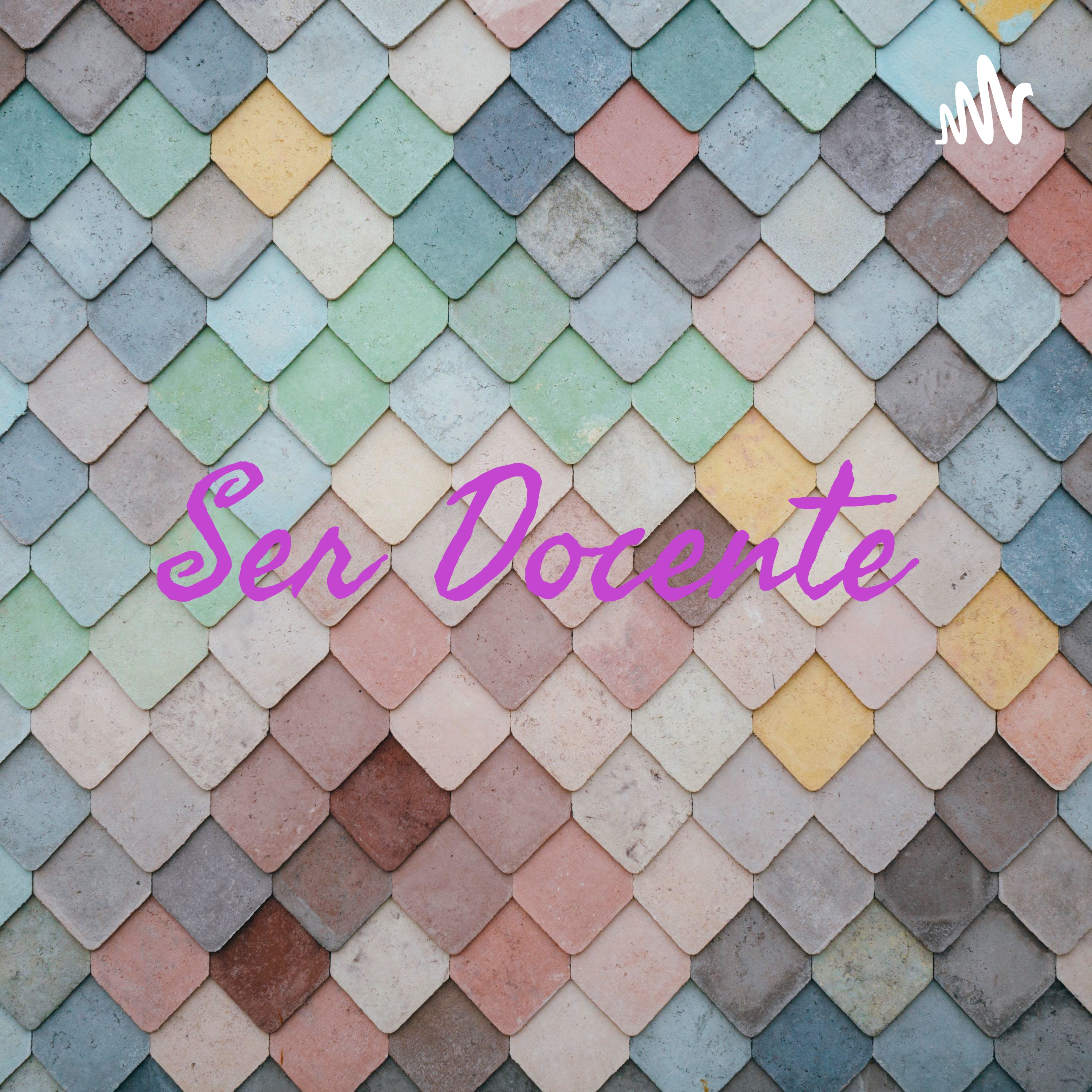 Ser Docente 
