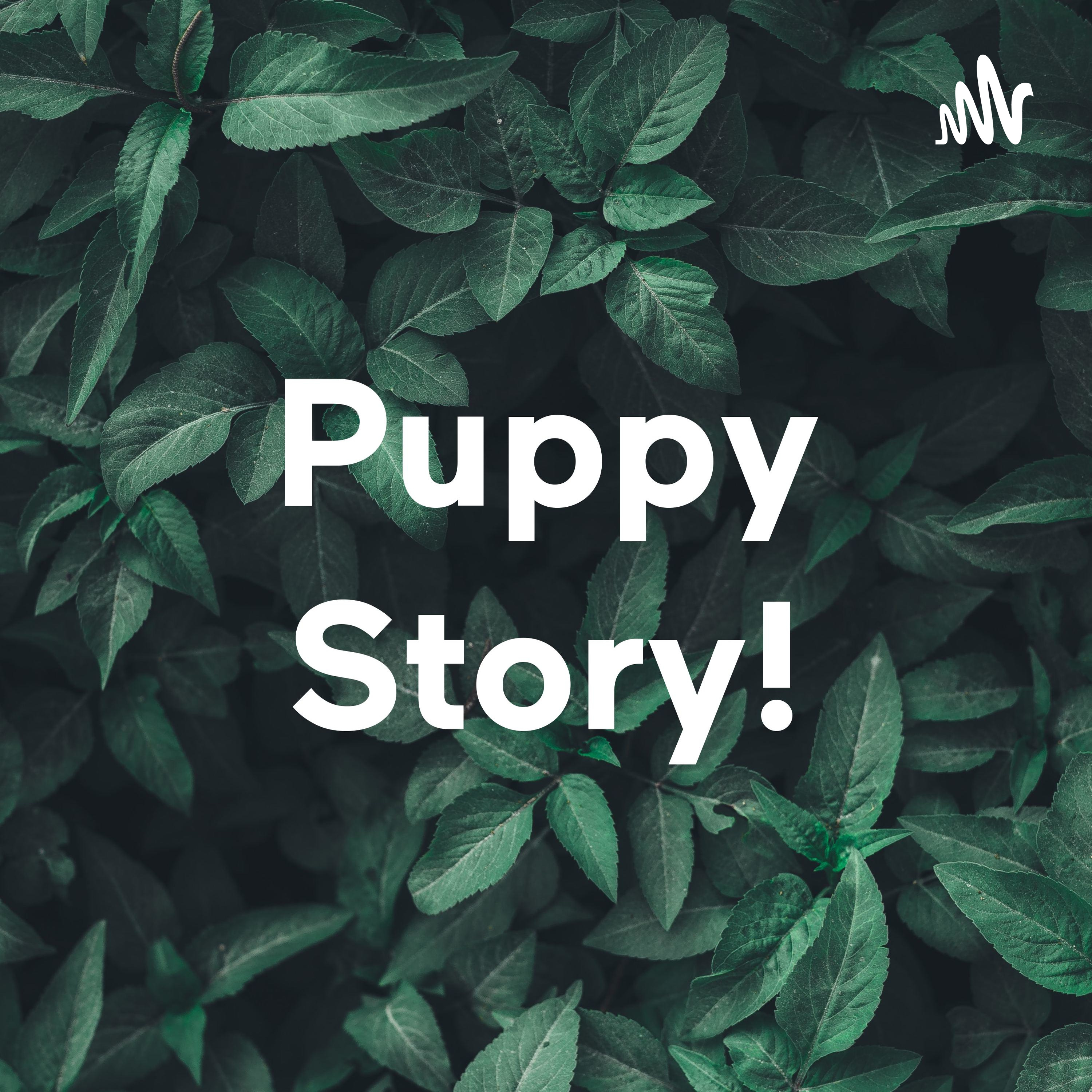 Puppy Story!