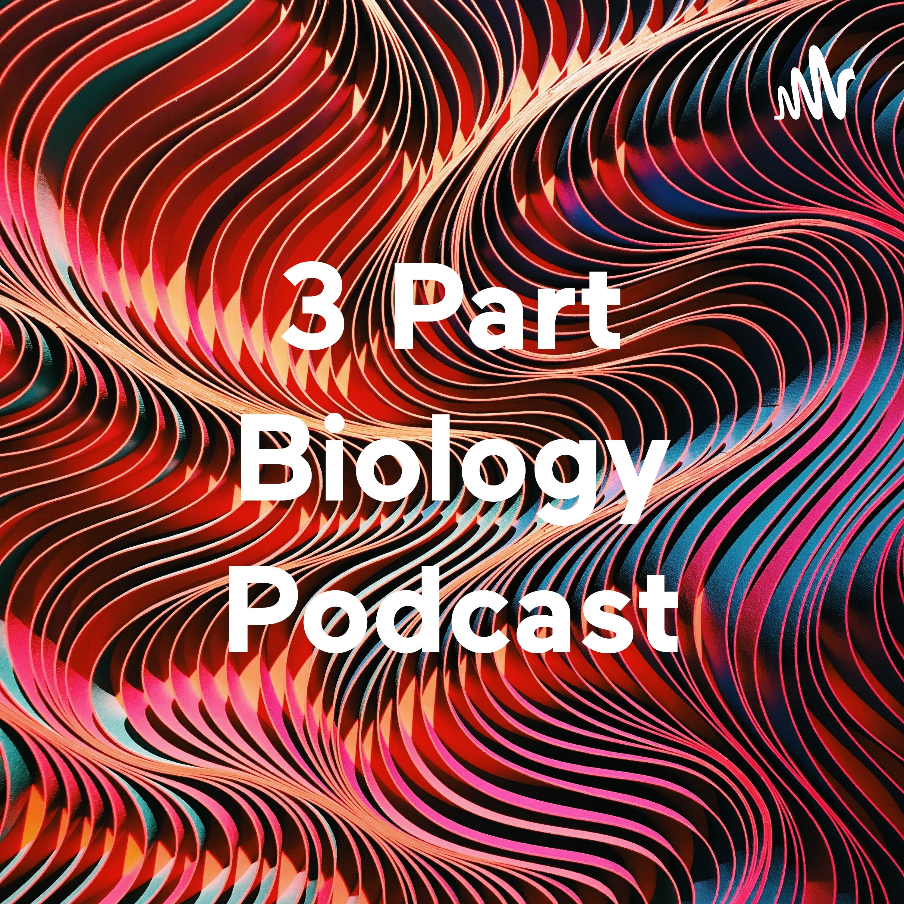 3 Part Biology Podcast