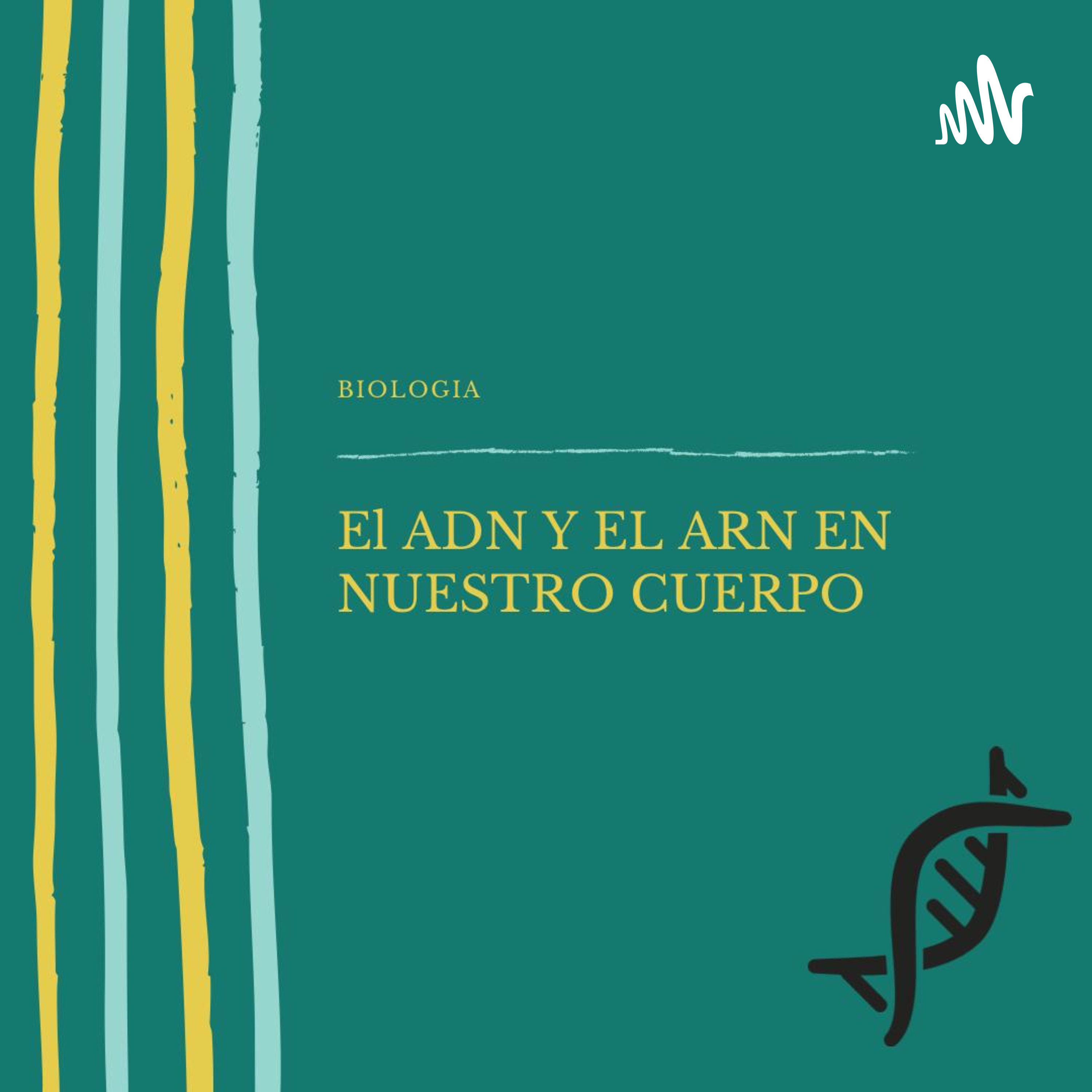 ADN Y ARN Parte De Nuestro Cuerpo