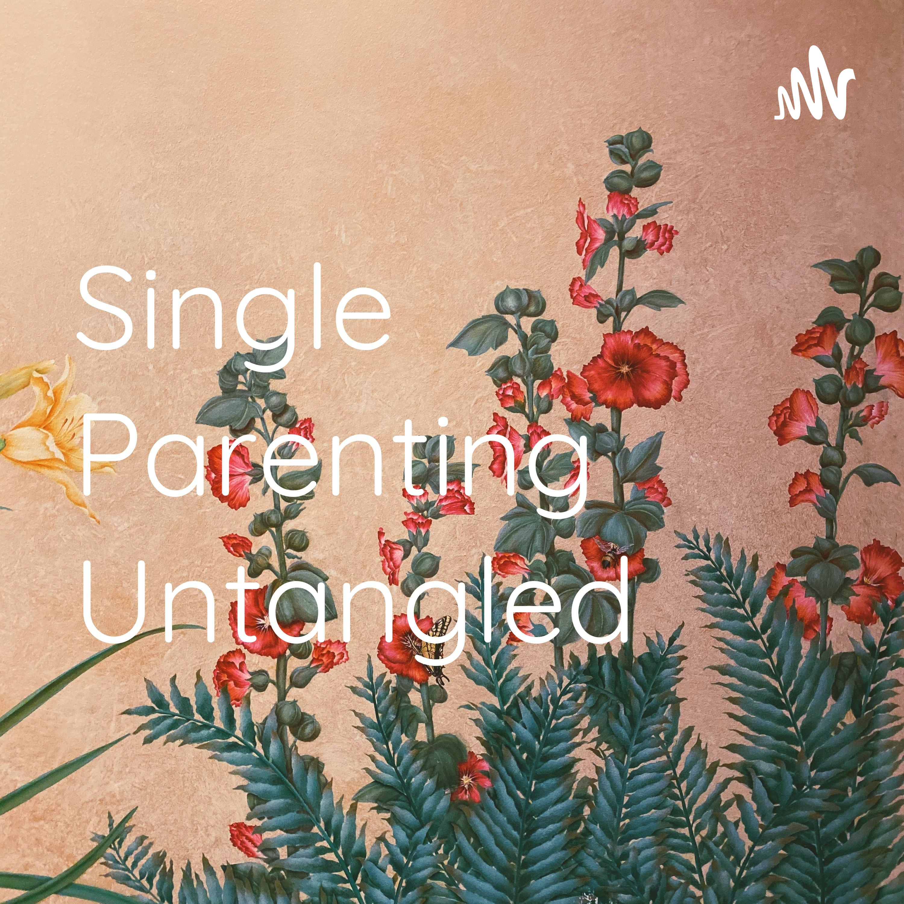 Single Parenting Untangled 