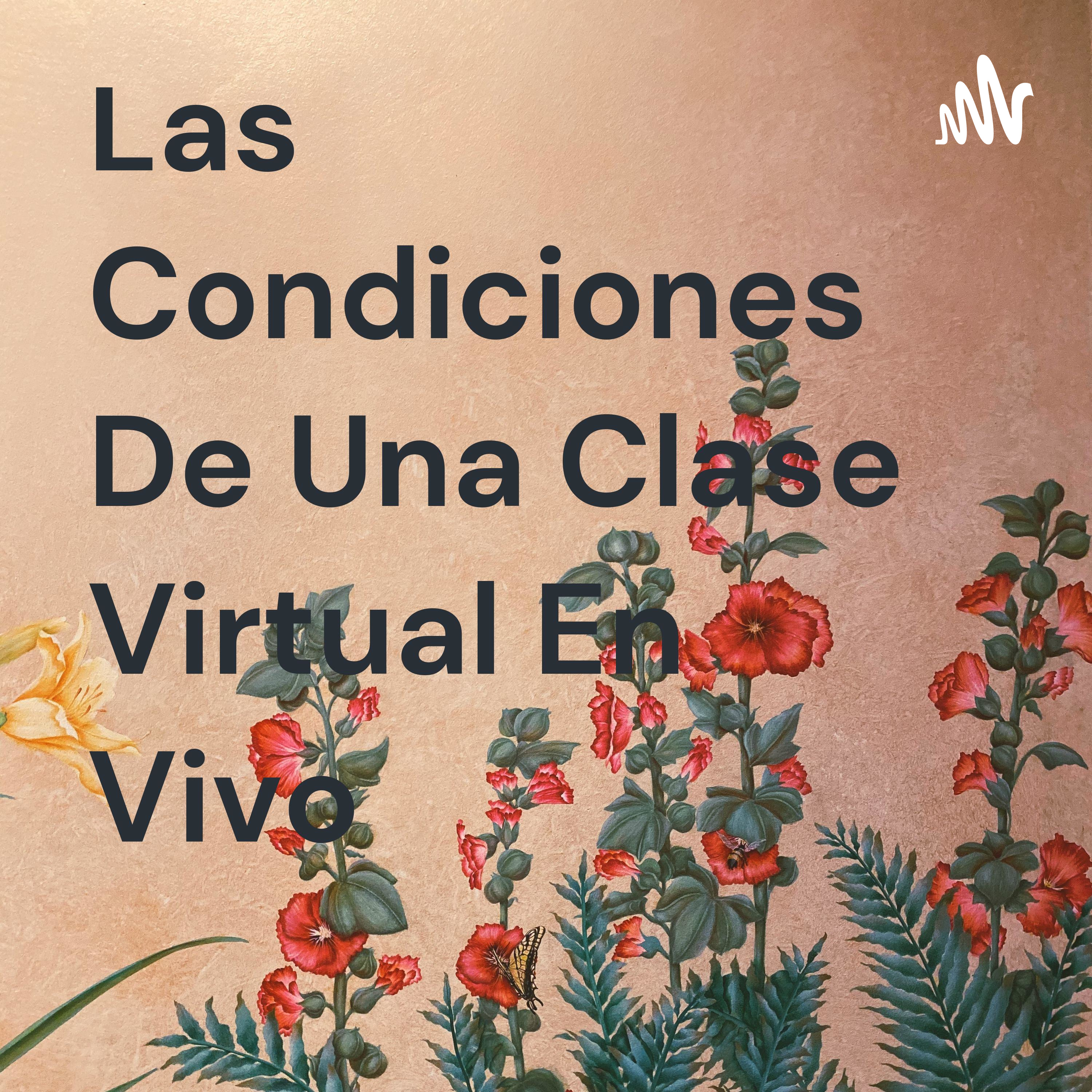 Las Condiciones De Una Clase Virtual En Vivo 