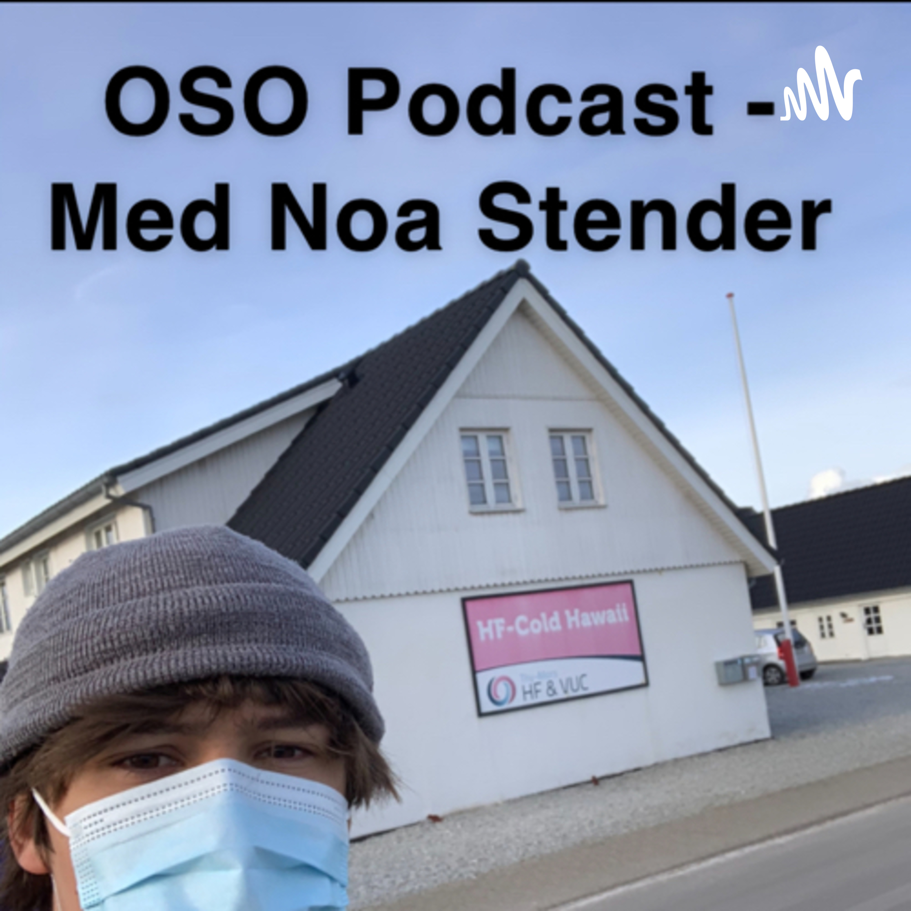 OSO - Valg af Ungdomsuddannelse af Noa Stender mikkelsen